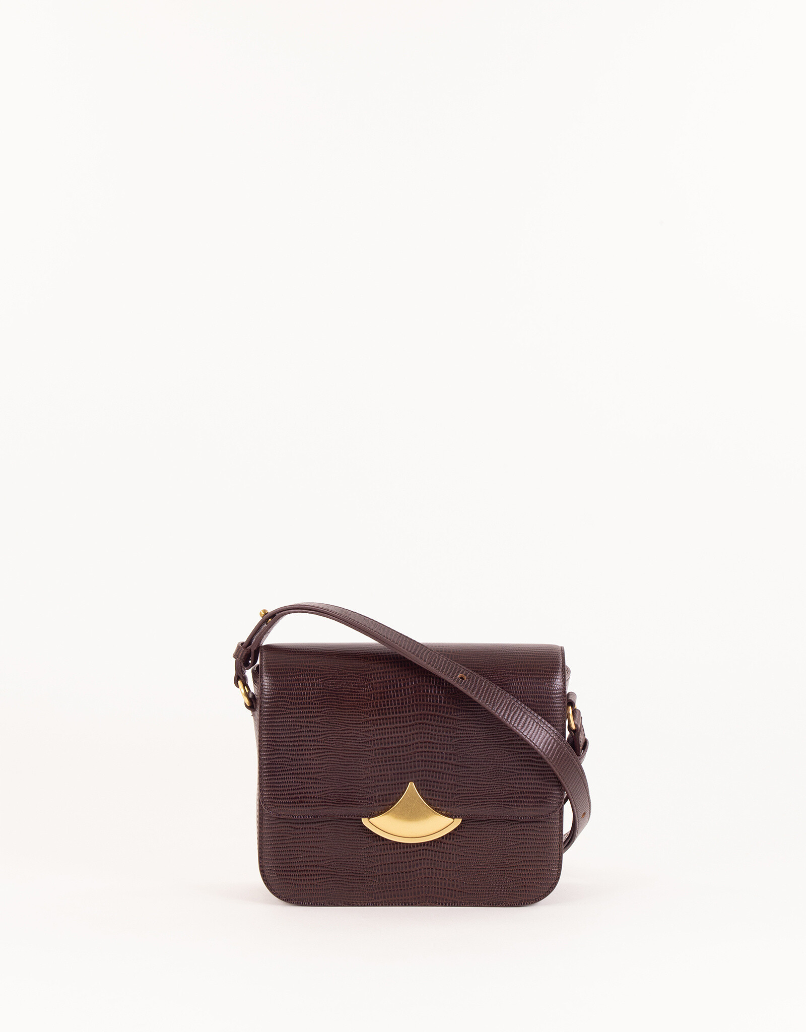 Sessun DIVILUZ E-Browny lézard