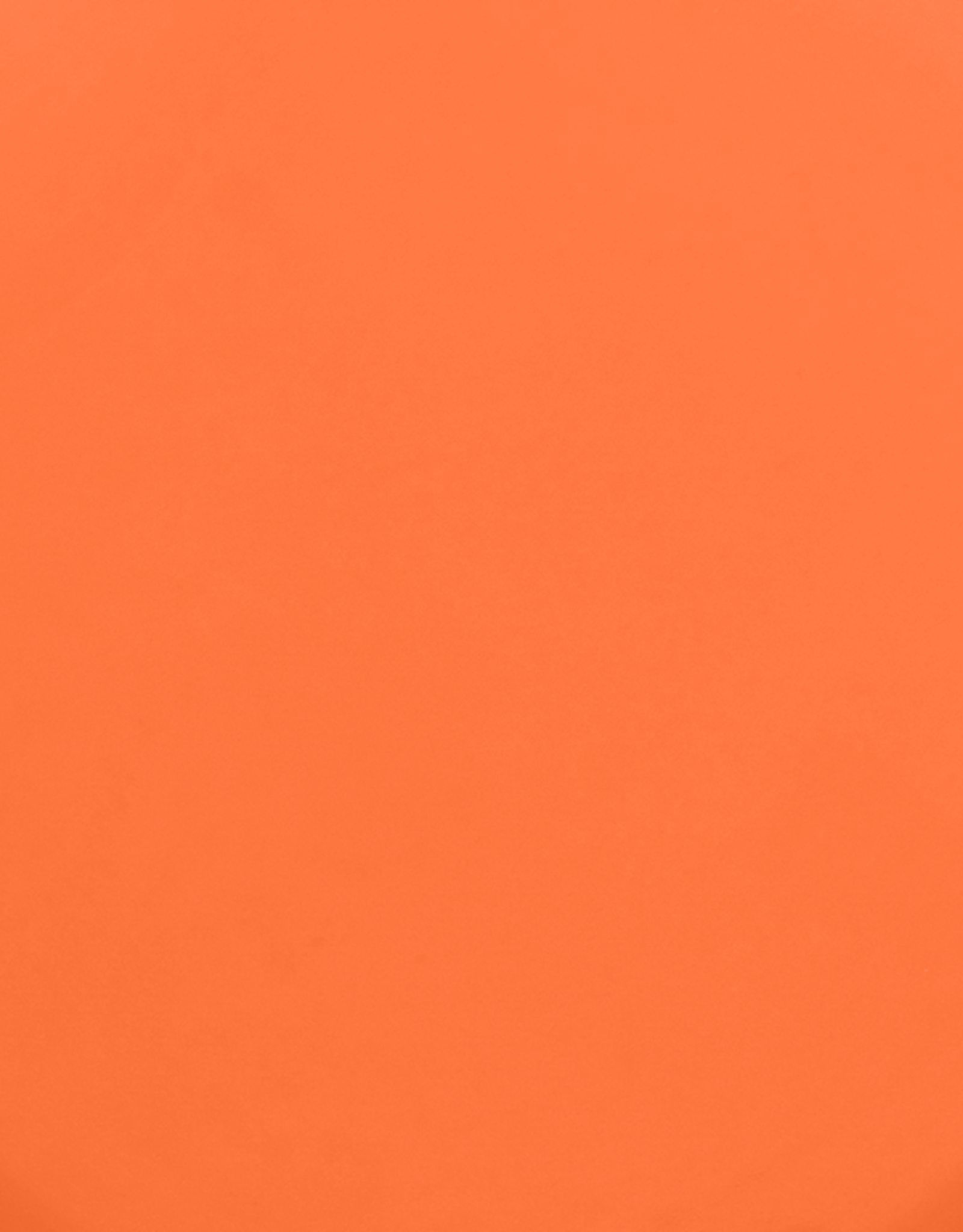 Urban Nature Culture Urban Nature Culture Good Morning espresso cup carrot