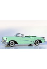 Buick Buick Skylark(1954)Lido green