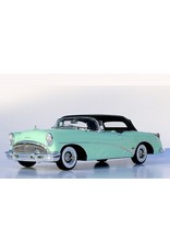 Buick Buick Skylark(1954)Lido green