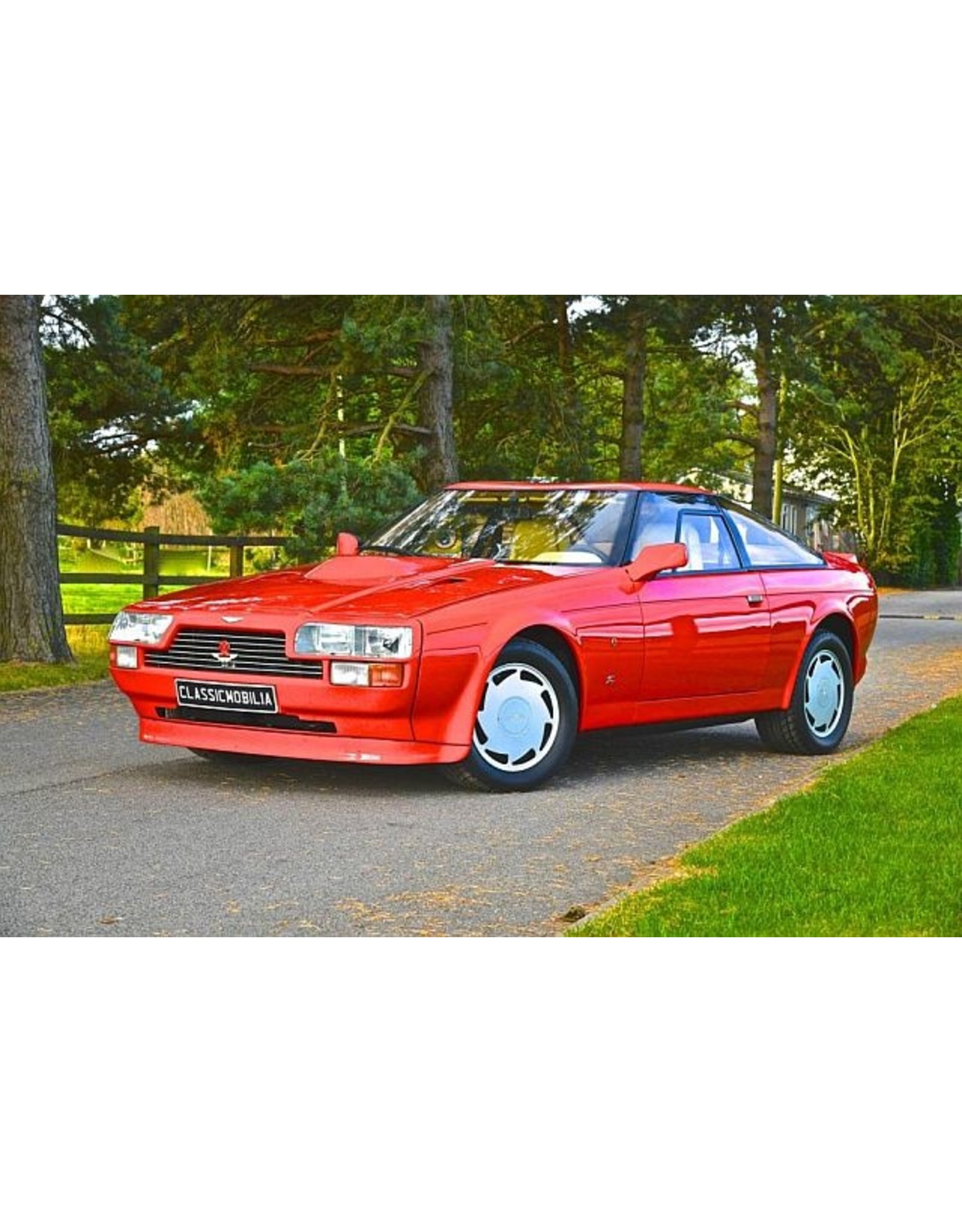 Aston Martin by Zagato. Aston Martin V8 Zagato(red)1986-1990