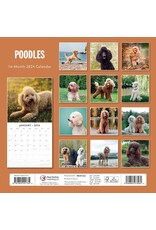 Accessories Calendar Poodles(2024)