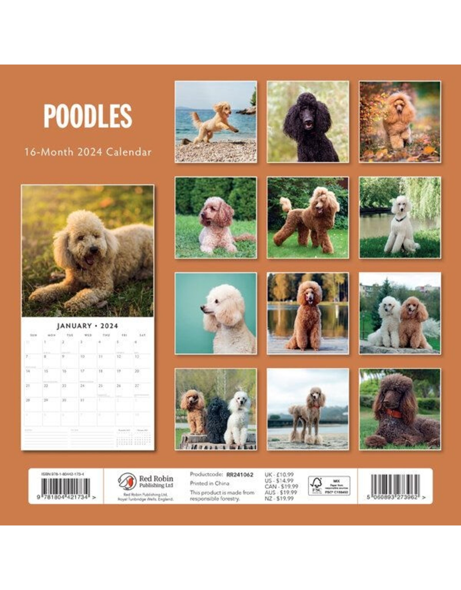 Accessories Calendar Poodles(2024)