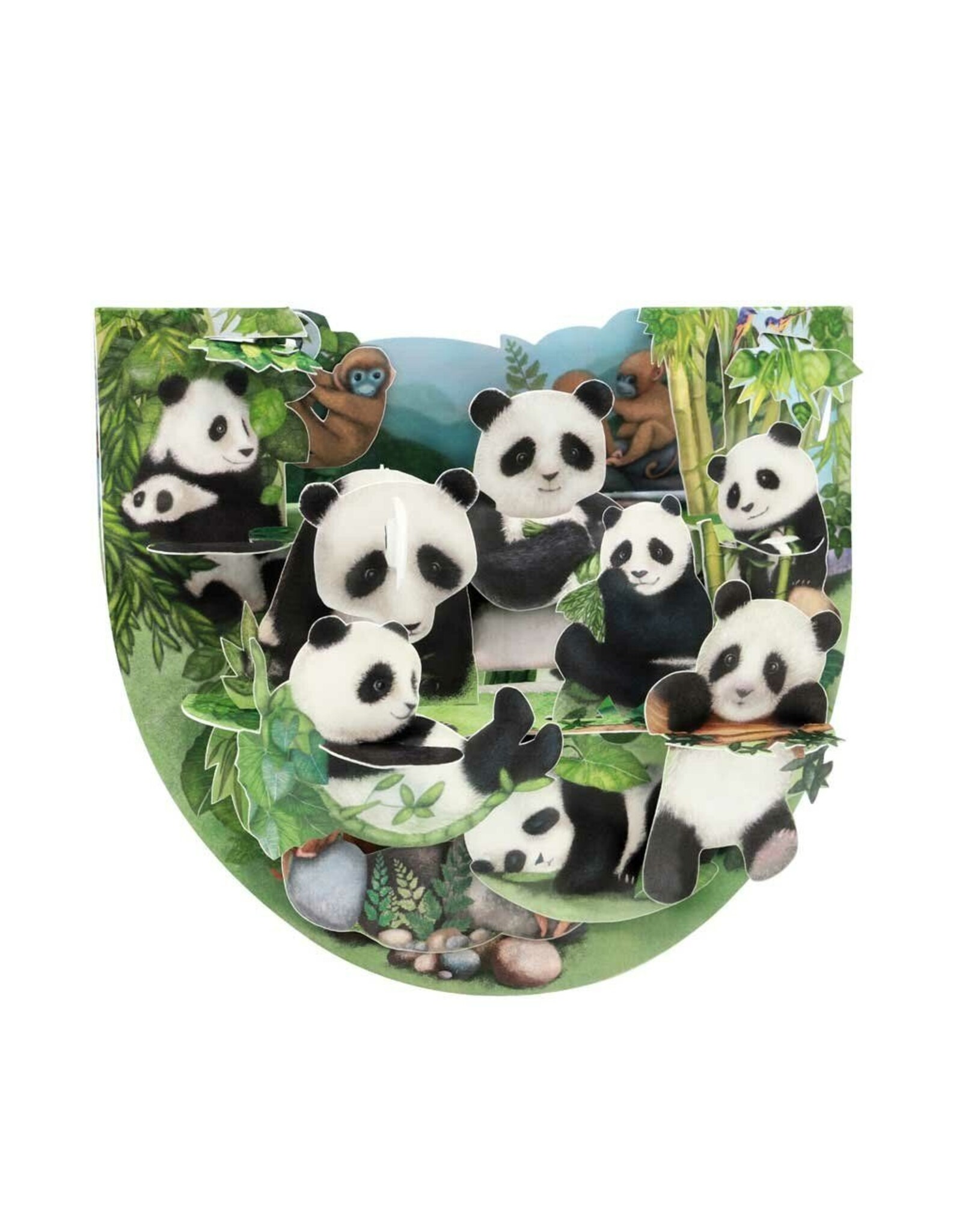 Accessories Poprock Card-Pandas