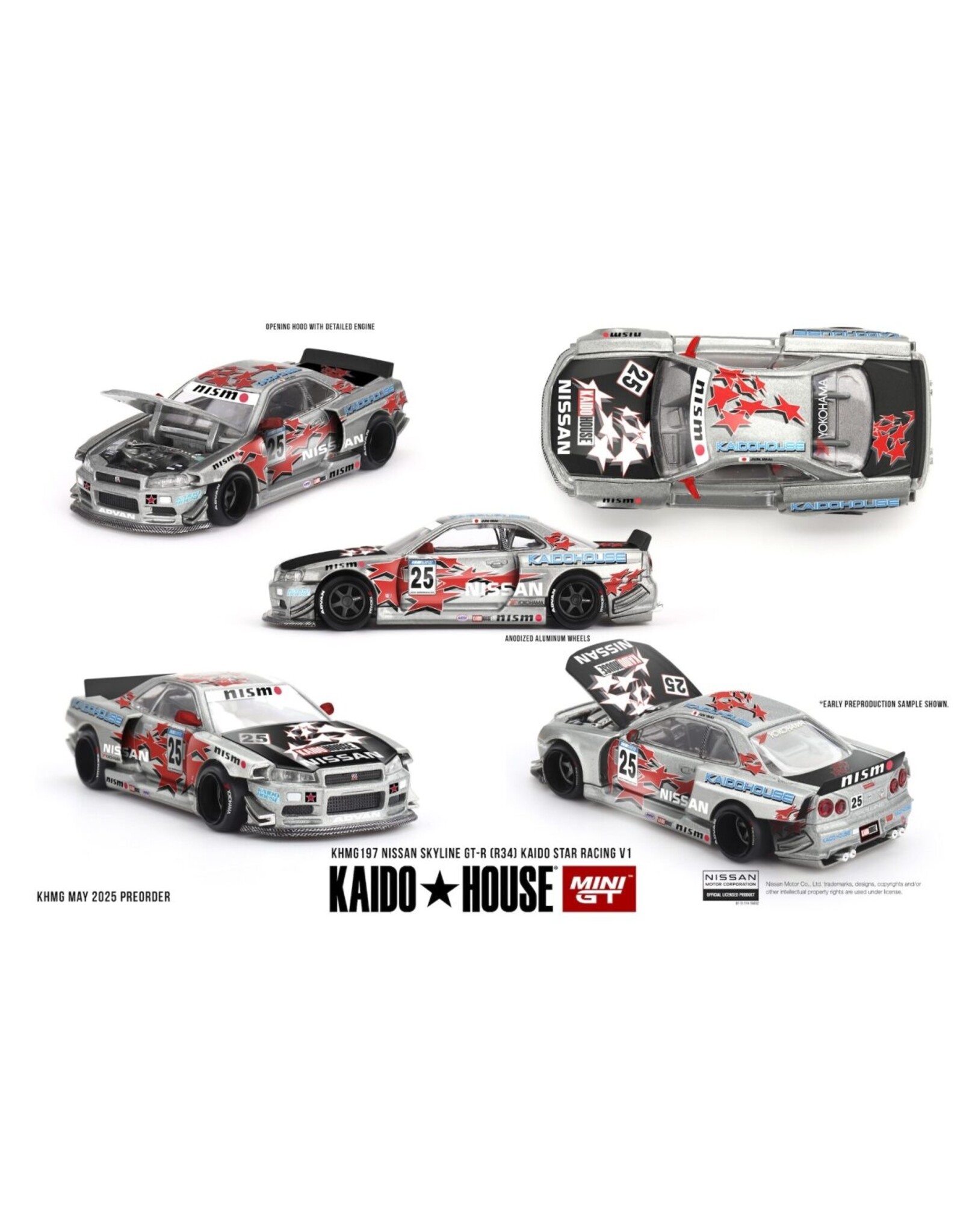 Nissan Motorsport Nissan Skyline GT-R(R34)Kaido Star Racing V1(1999)