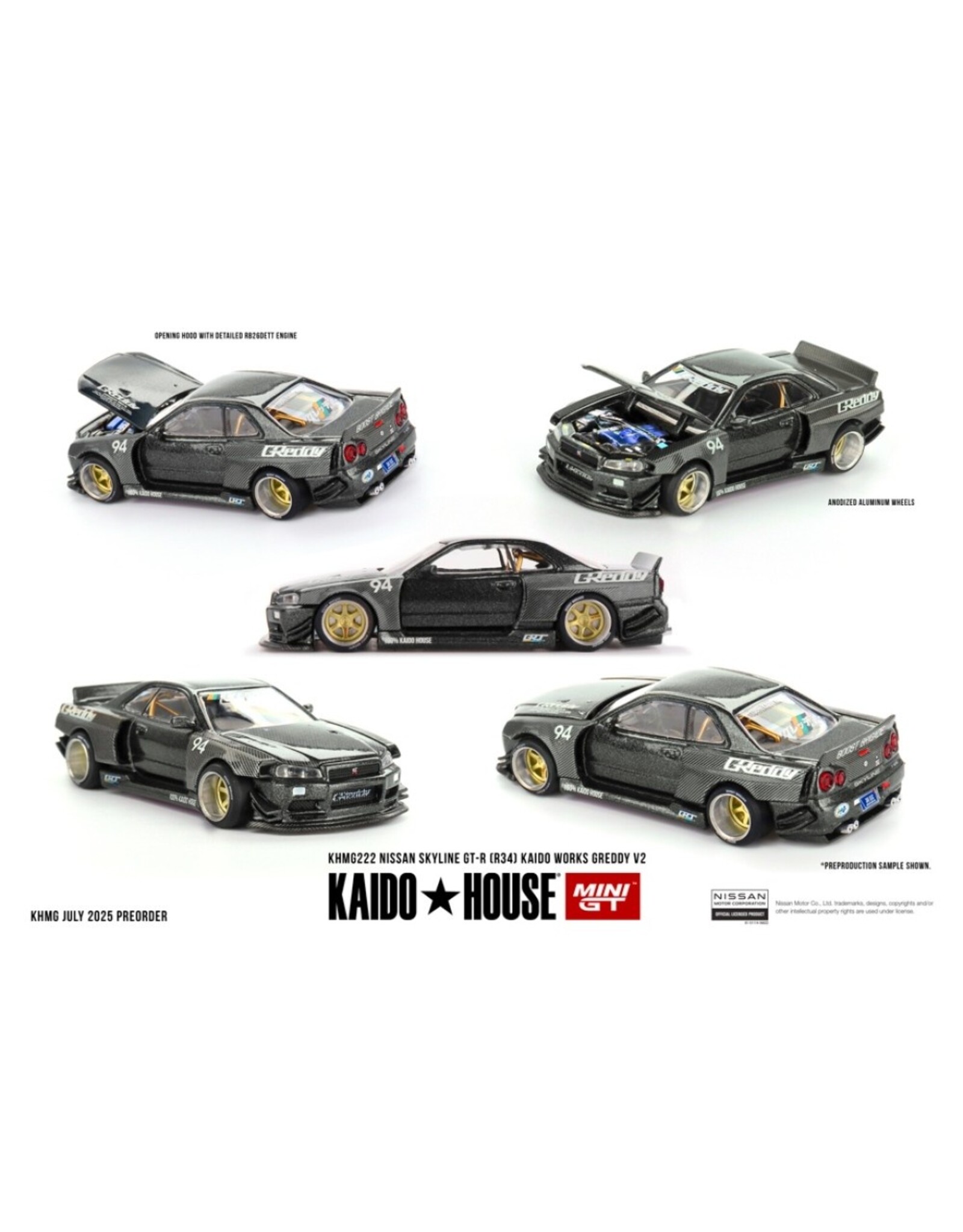 Nissan Nissan Skyline GT-R(R34)Kaido Works Greddy V2