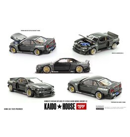 Nissan Nissan Skyline GT-R(R34)Kaido Works Greddy V2