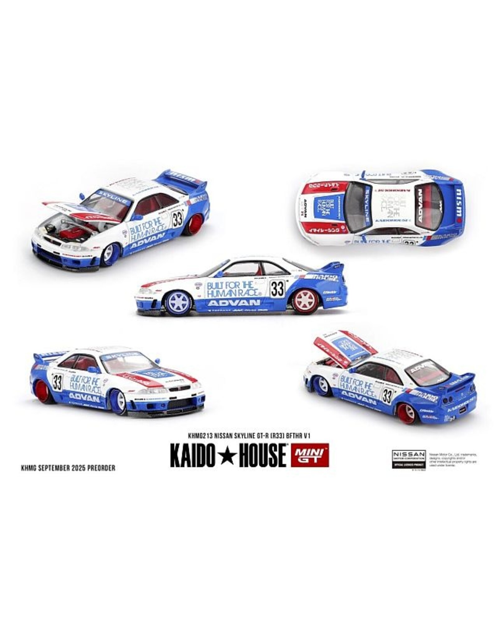 Nissan Nissan GTR(R33)BFTHR V1(1995)