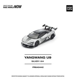 Yanwang Yangwang U9
