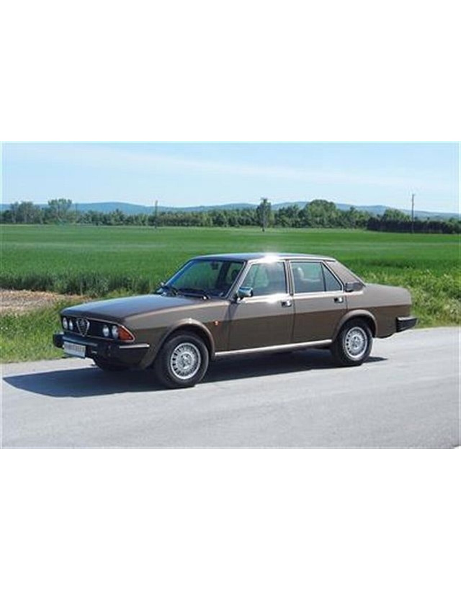 Alfa Romeo Alfa Romeo Alfa 6 2.5(T119)bronze(1979)