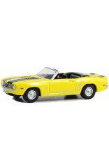 Chevrolet Chevrolet Camaro SS Convertible(1969)