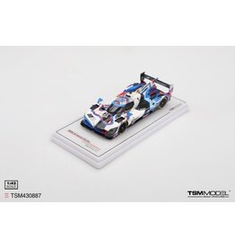 BMW BMW M Hybrid V8 #24 BMW M Team RLL(Sebring 12h.2025)