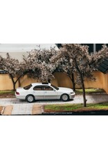 Lexus Lexus LS-400(UCF10)2001(pearl white)