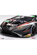 Lamborghini Lamborghini Huracan GT3 EVO2 #45 Dex Wayne Taylor Racing(Laguna Seca)Class Winner2026