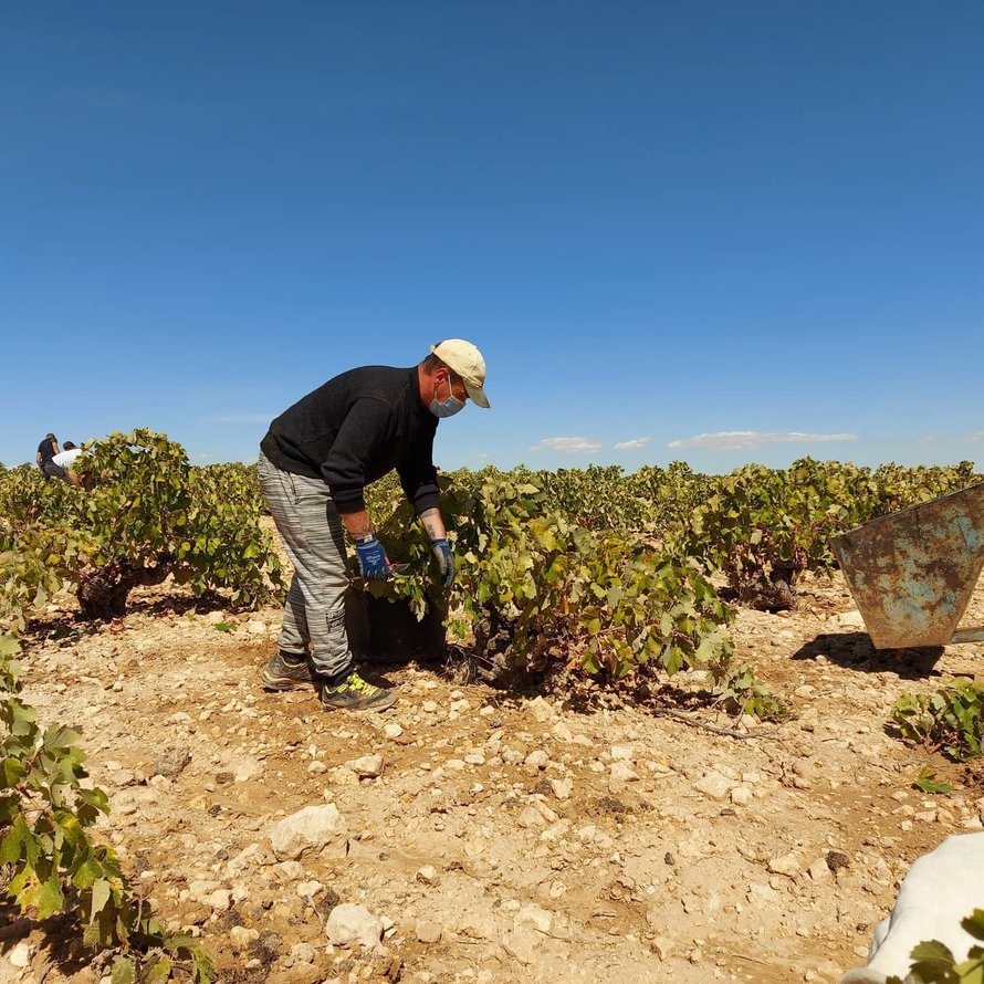 Bodegas Garcia de Lara