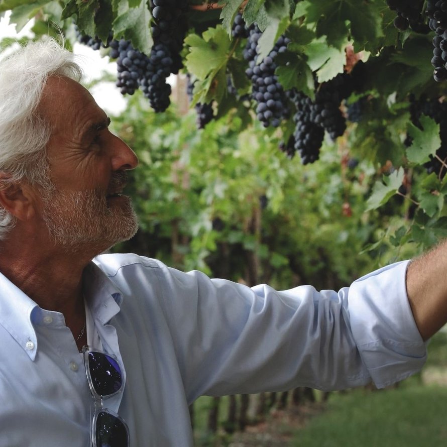 Antiche Terre Venete 