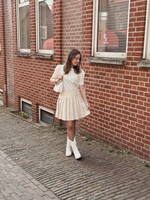 Danisha skirt beige