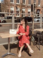Smashed Lemon Smashed Lemon Jarel long dress pink/red print
