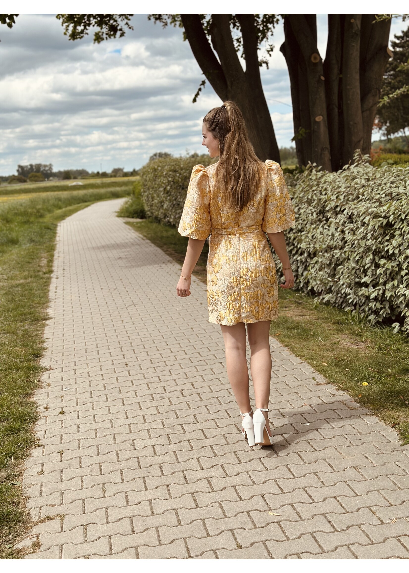 Melina dress yellow/gold print