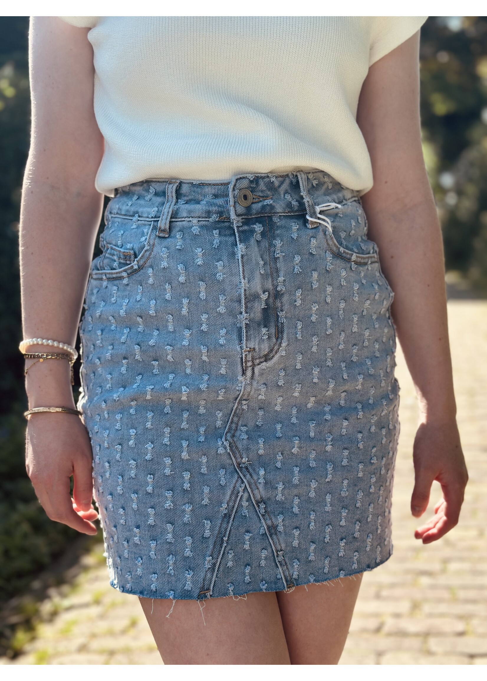 Paulien denim skirt blue