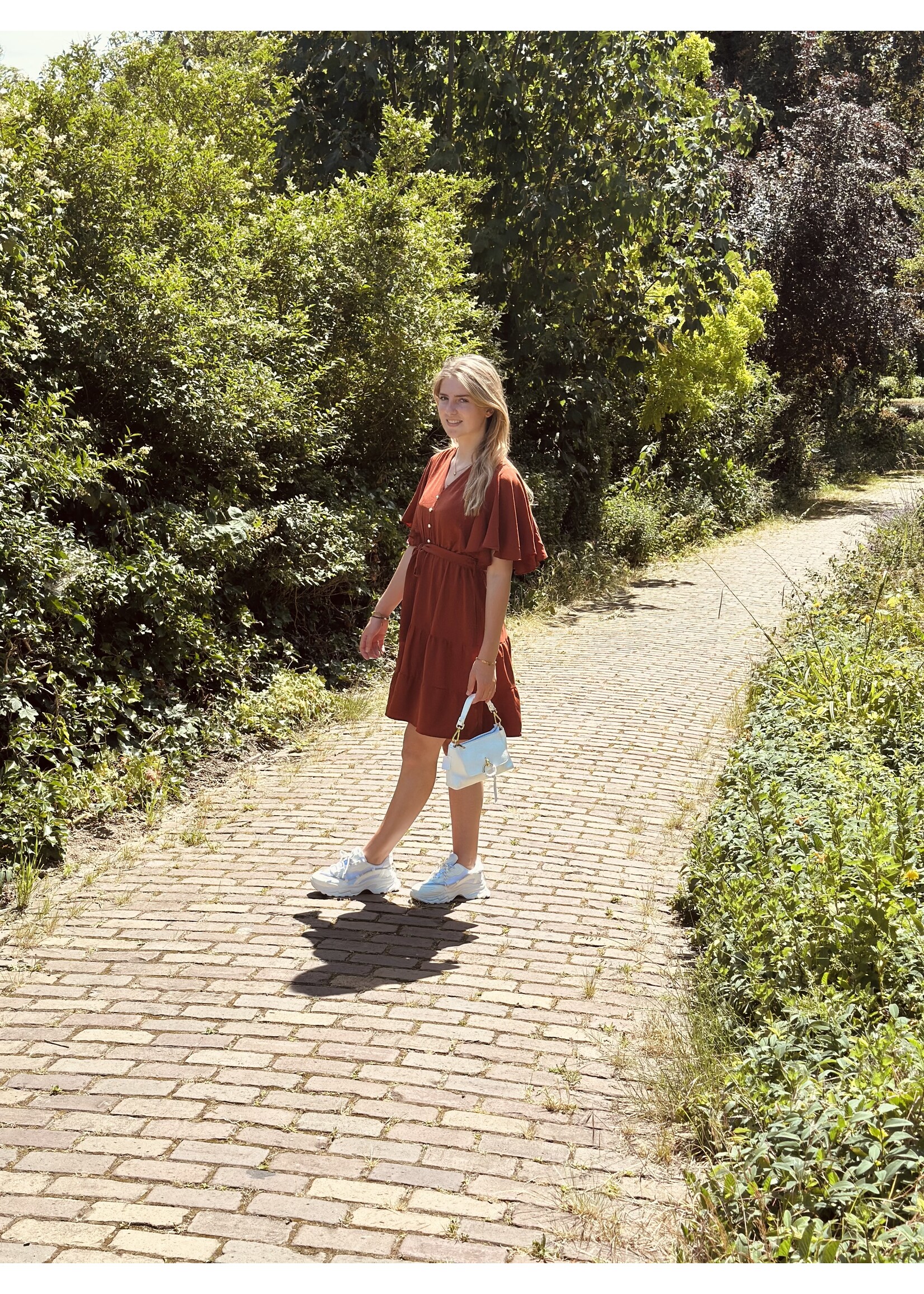 Luxy dress reddish brown
