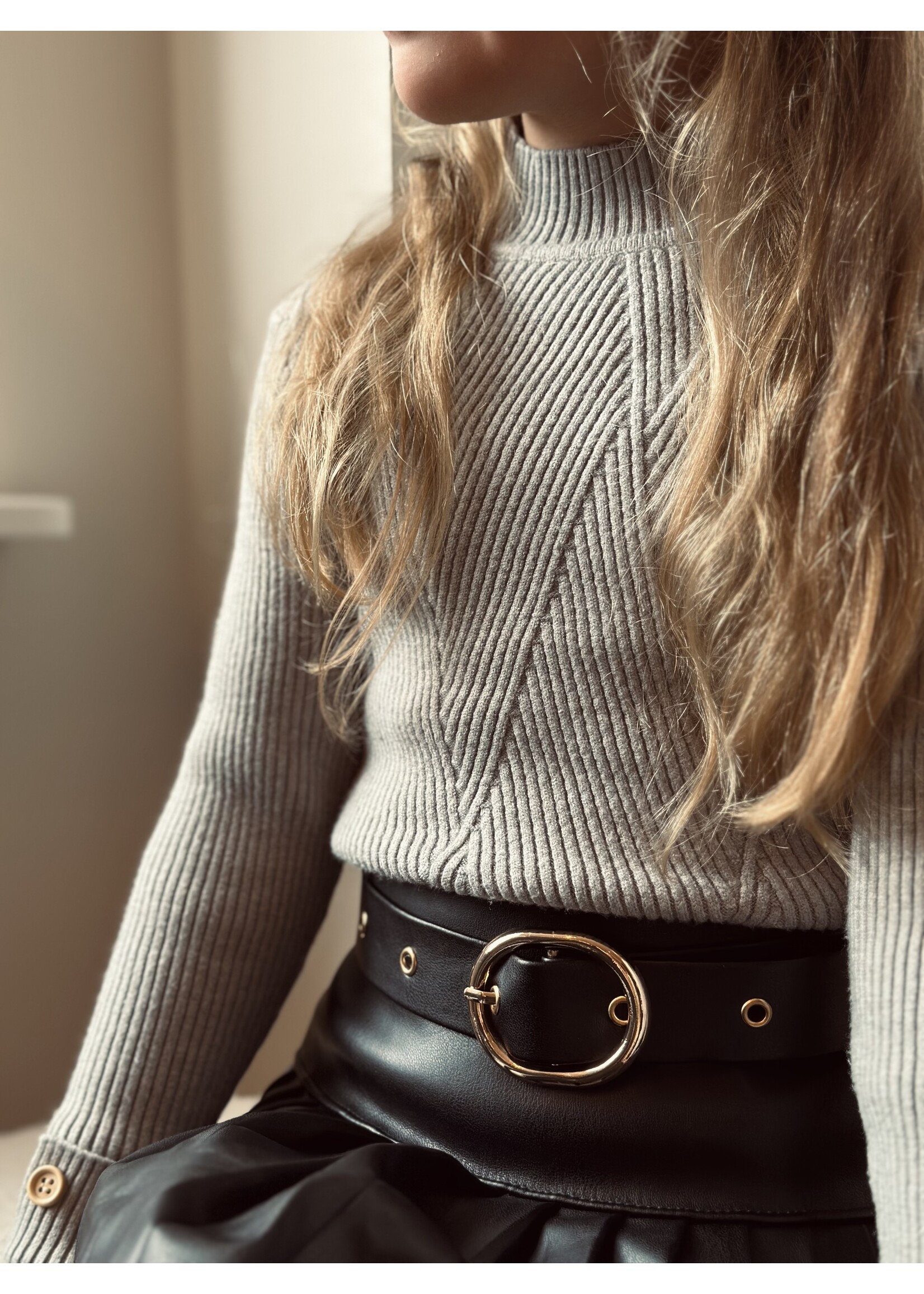 Sterre top grey print