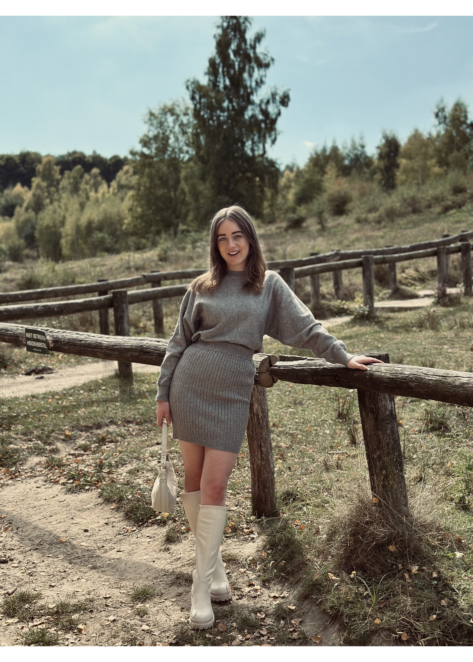 Lofty Manner Lofty Manner Wil skirt grey