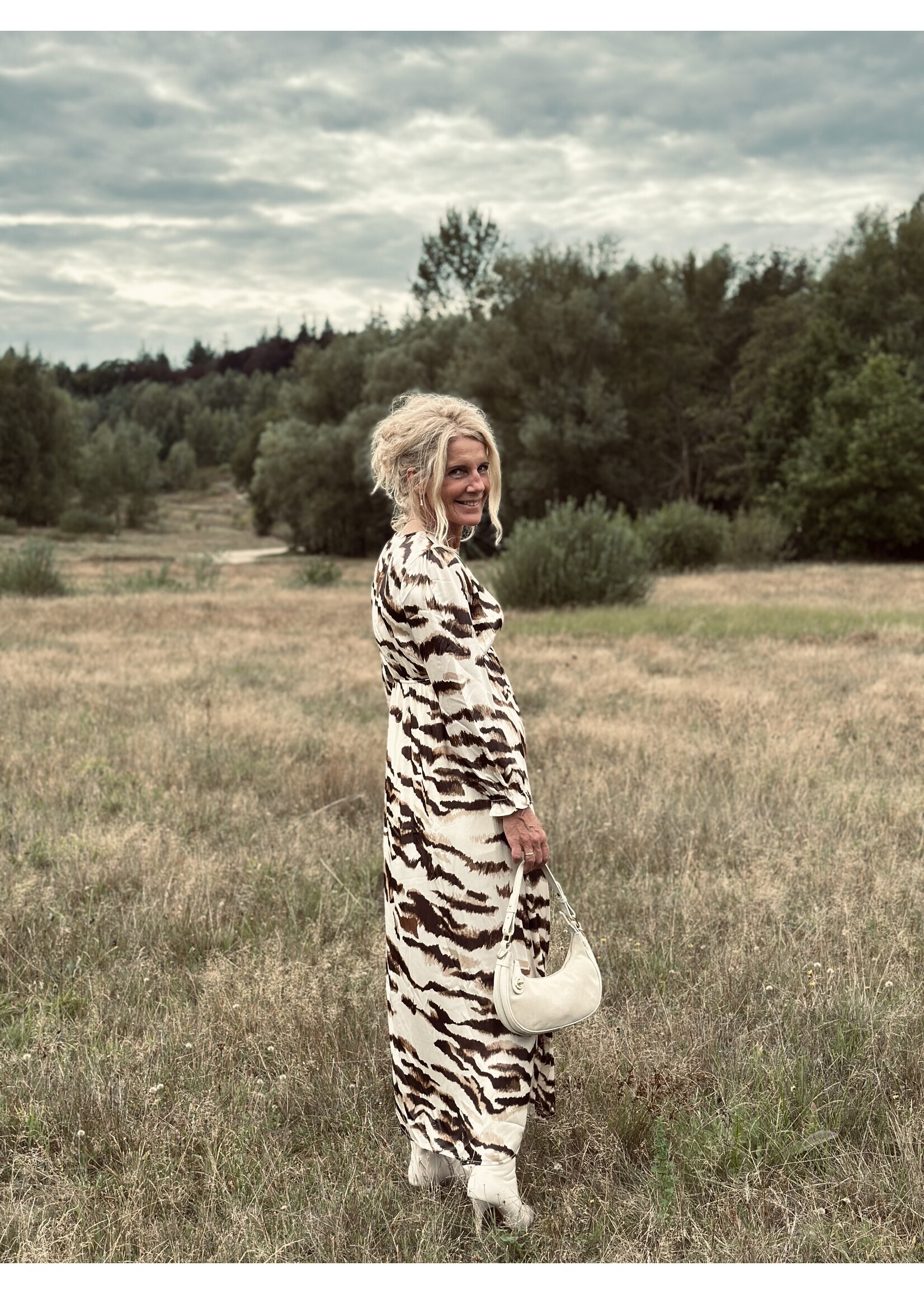 Sascha long dress brown/beige print