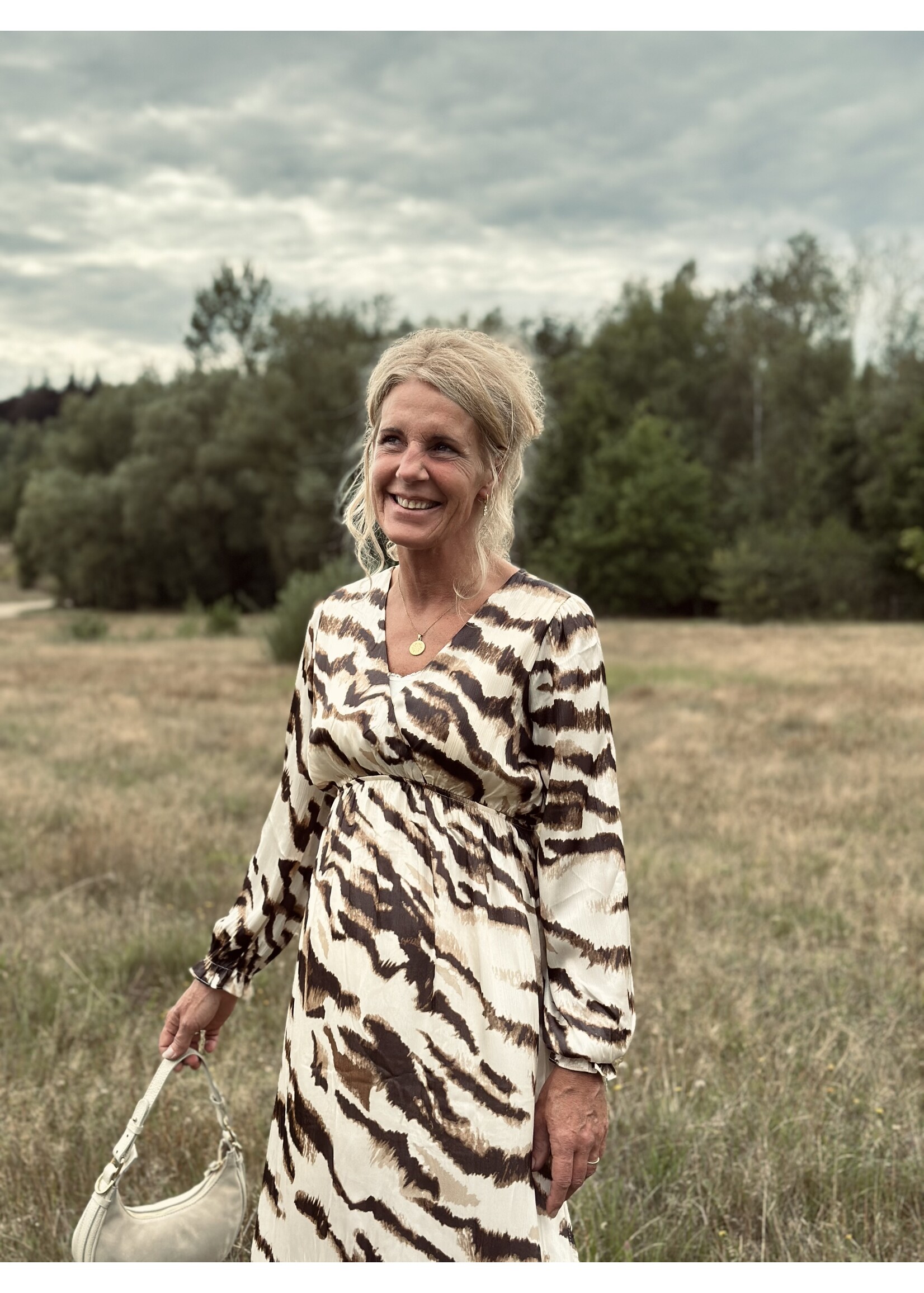 Sascha long dress brown/beige print