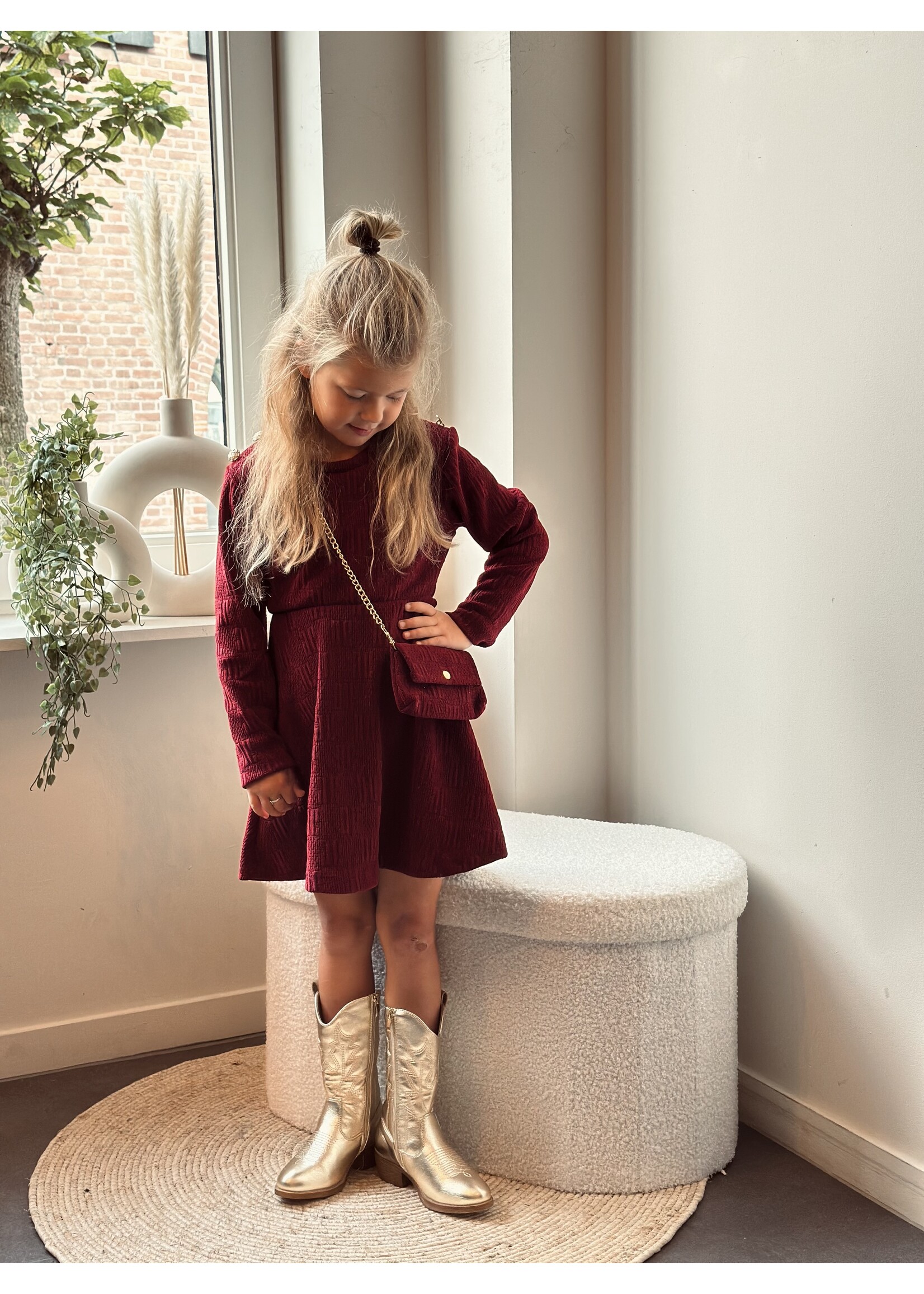 Haily dress bordeaux red print