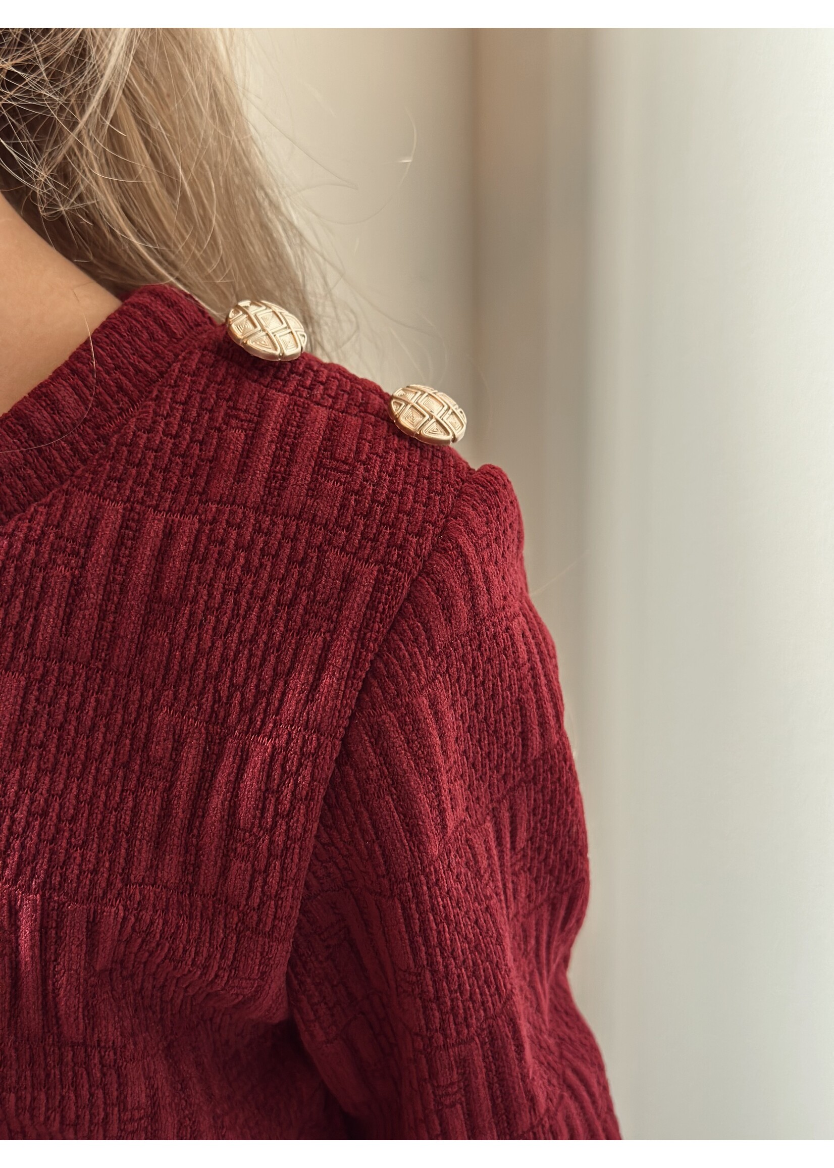 Haily dress bordeaux red print