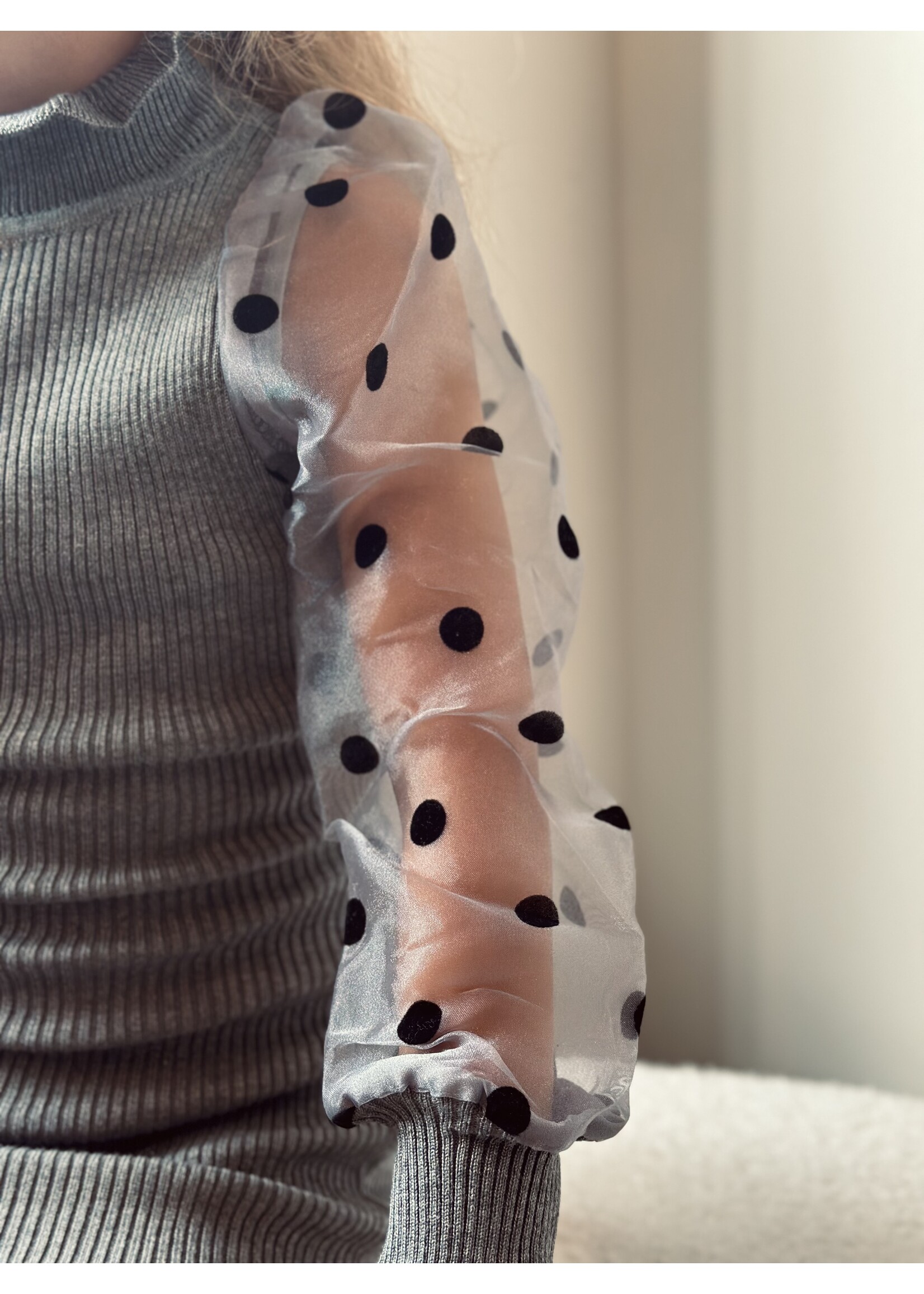 Elina dress grey/black print