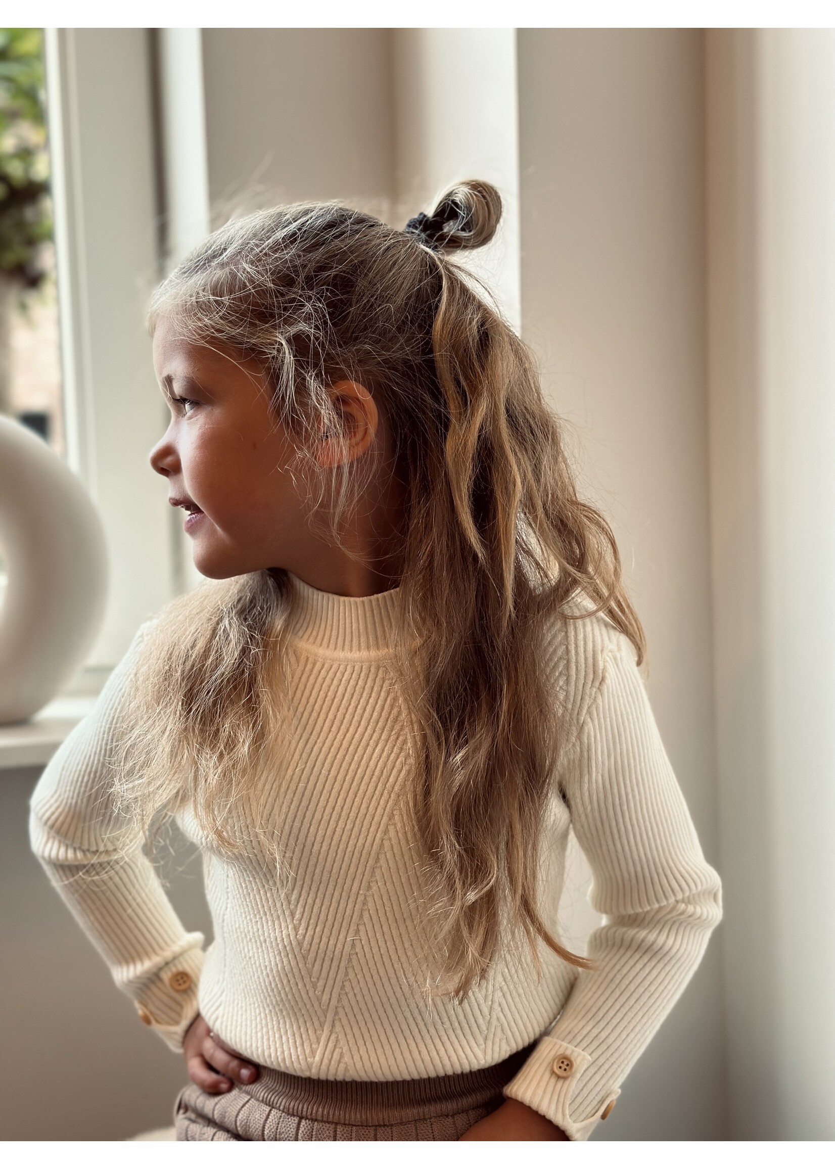 Sterre top beige print