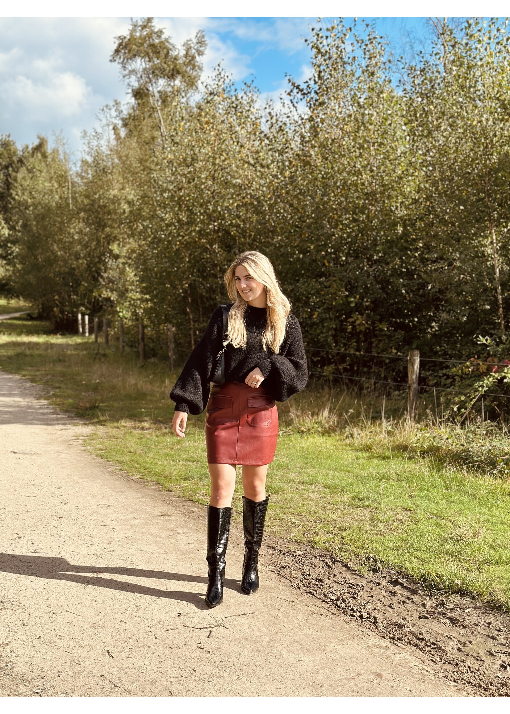 Arjanne skirt leather look red detail