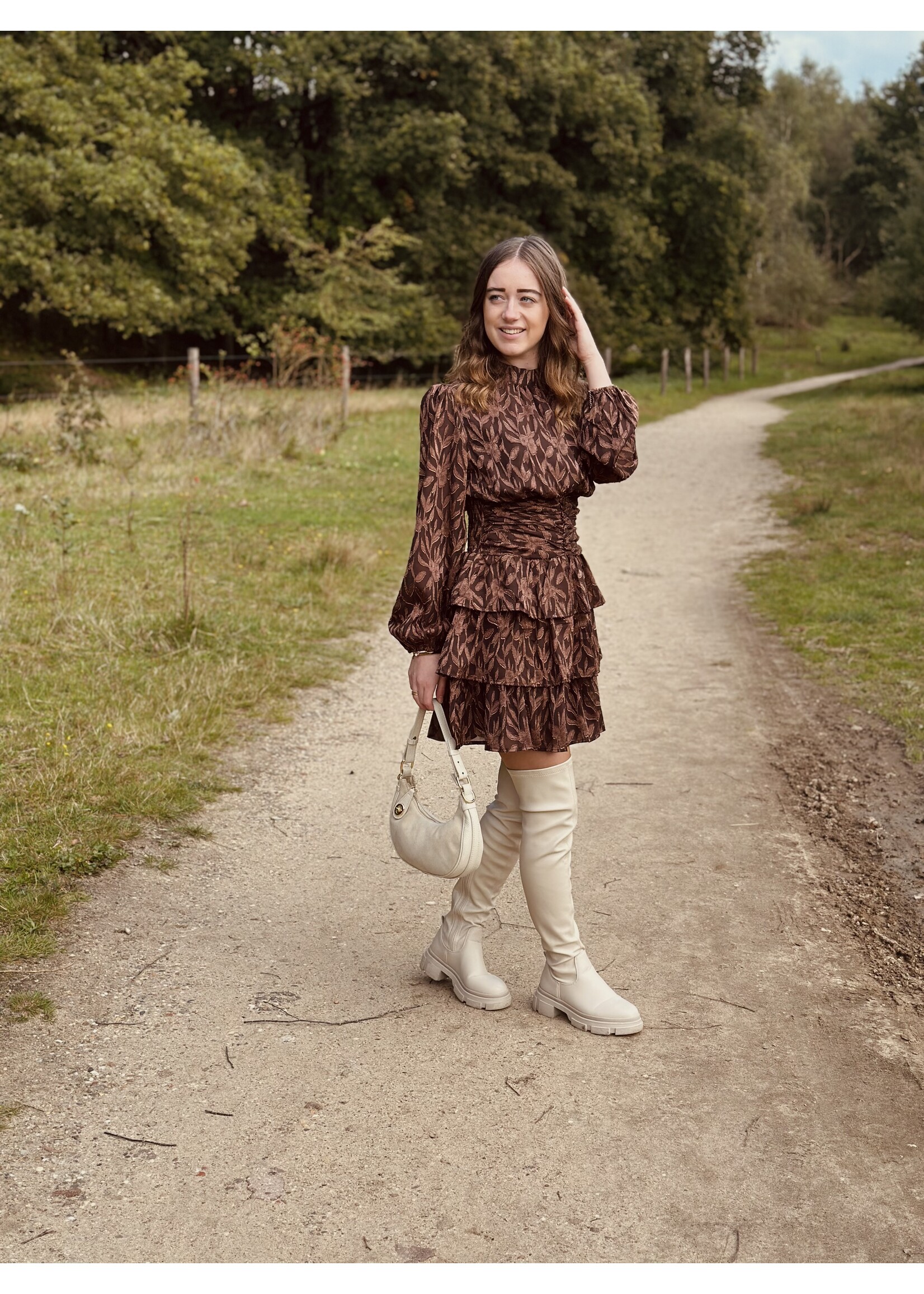 Hicinta dress brown print