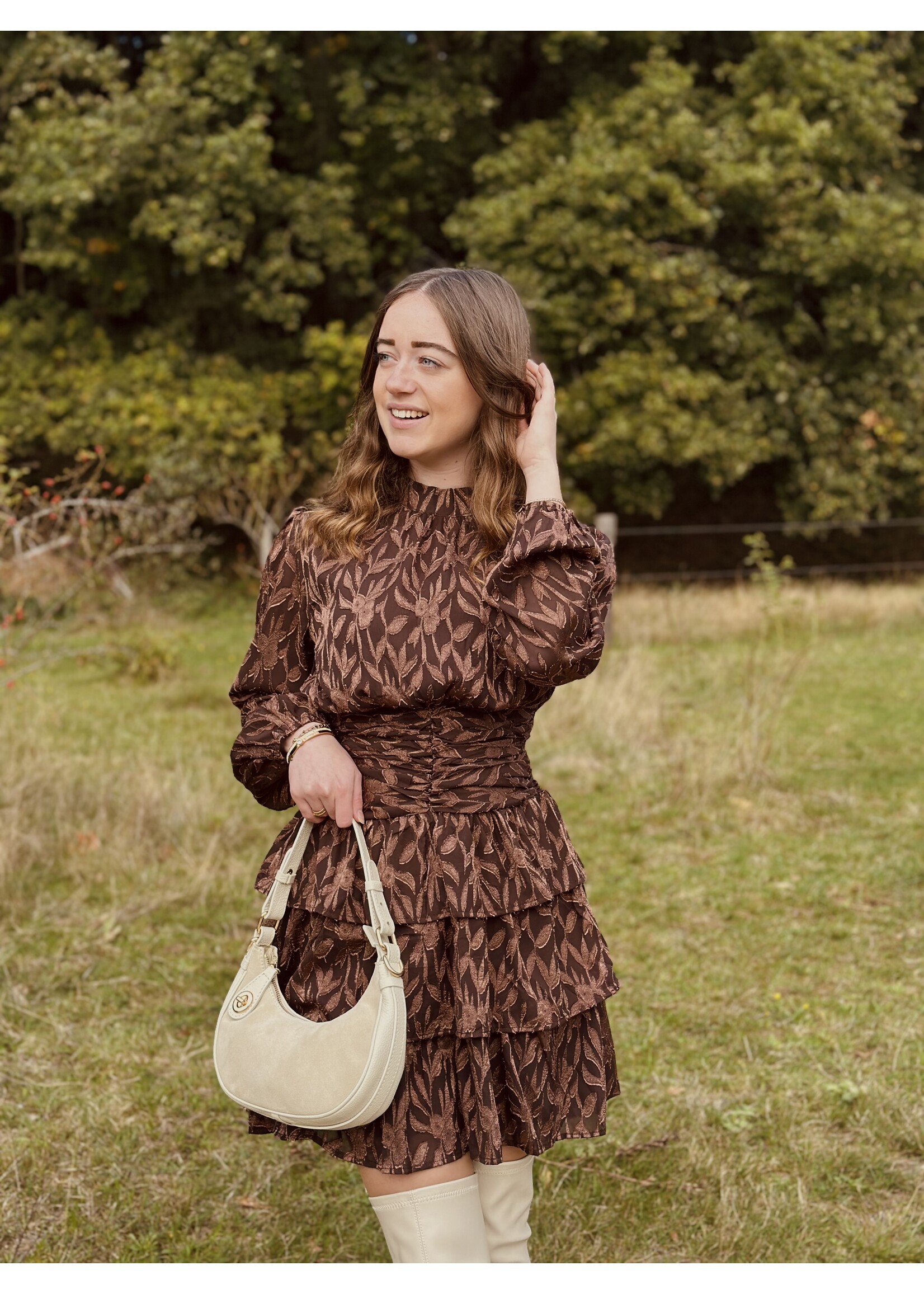 Hicinta dress brown print