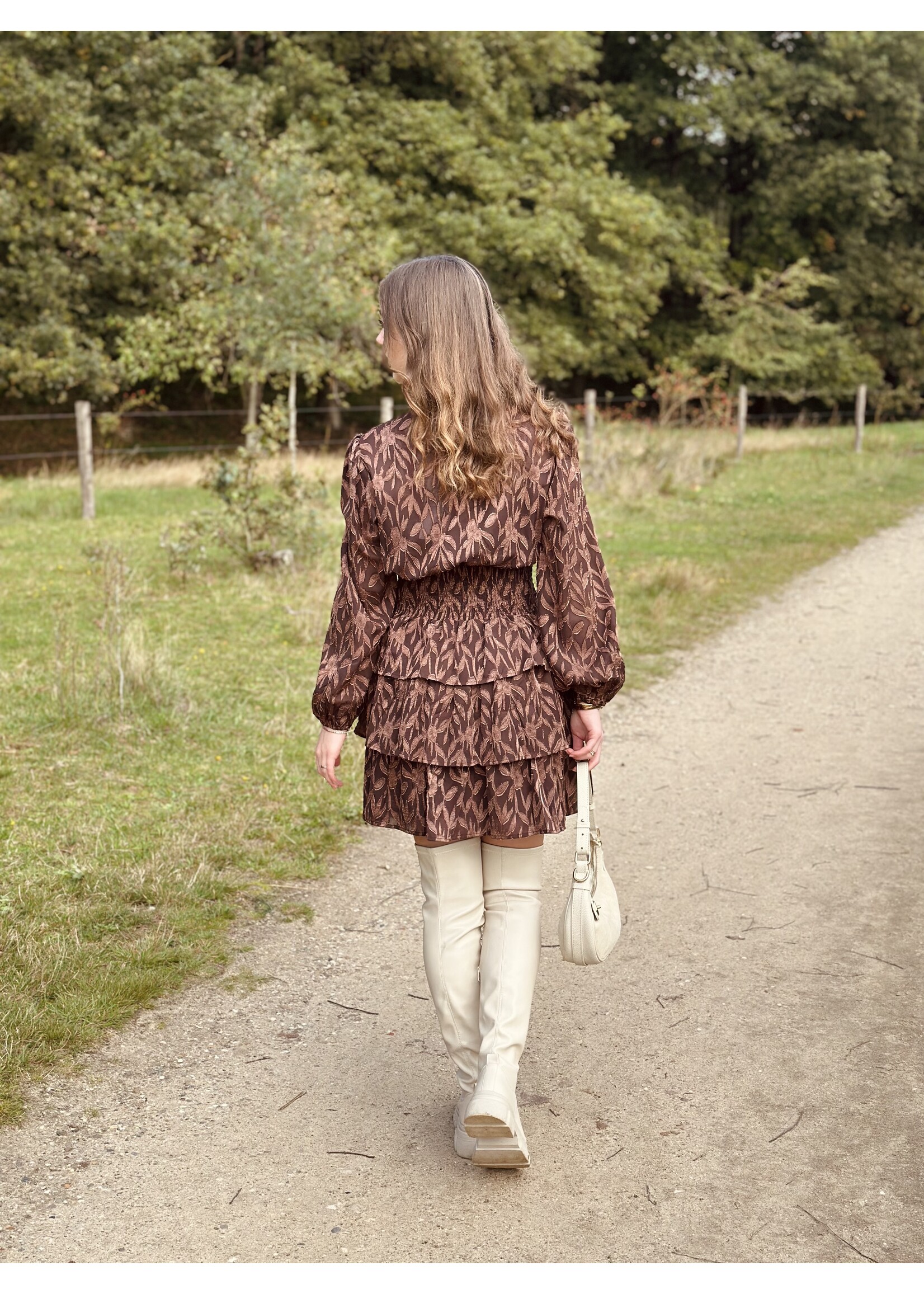 Hicinta dress brown print