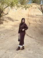 Izabella long skirt brown