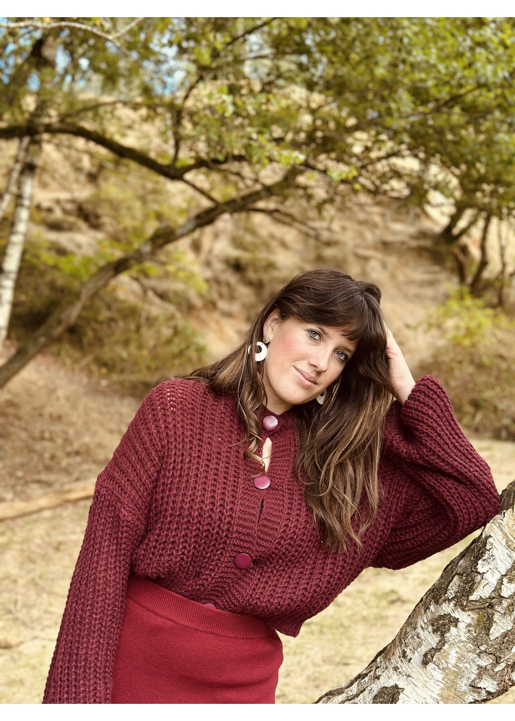 Ayla cardigan  bordeaux red One Size