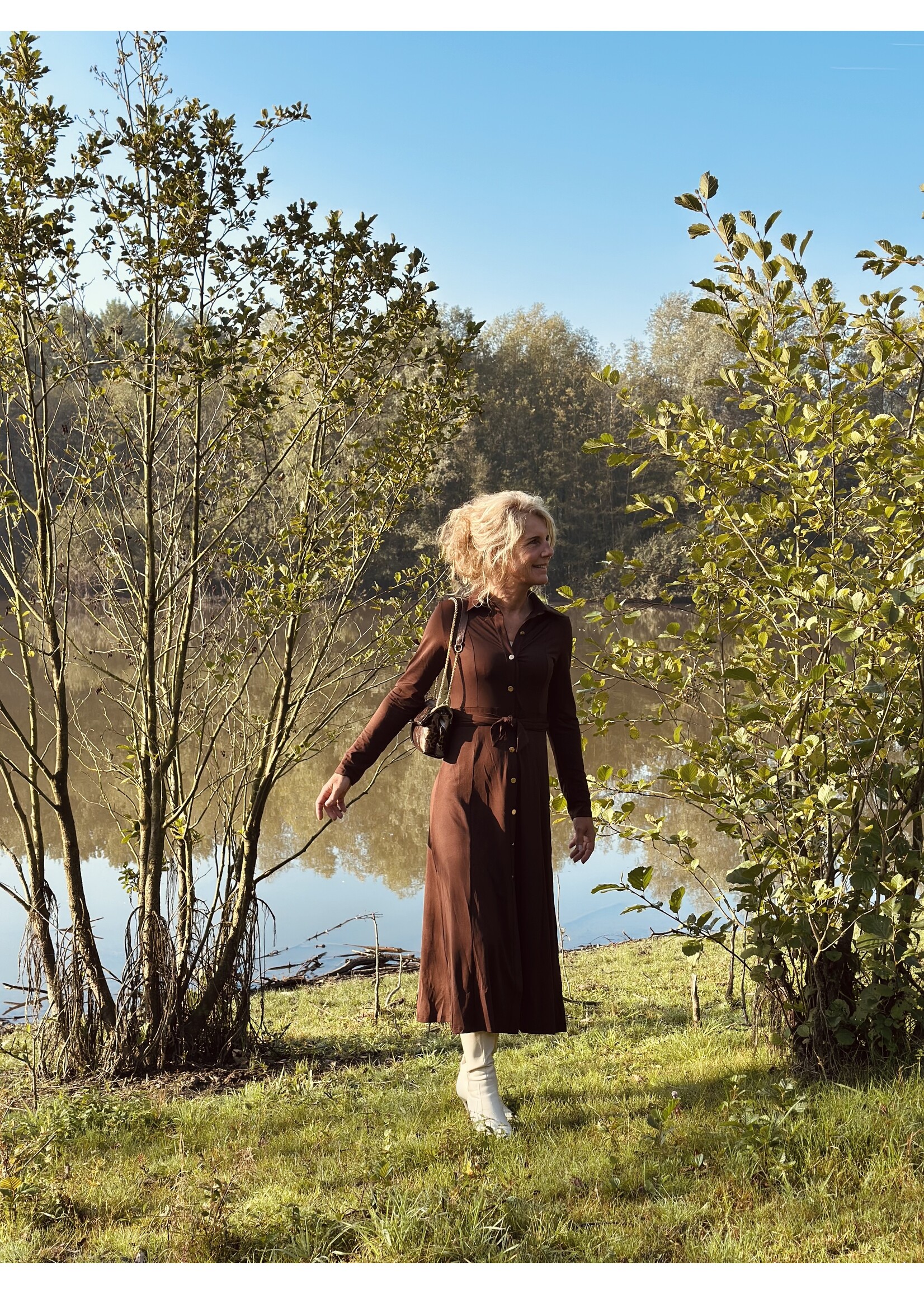 Rosemarie long dress travel brown