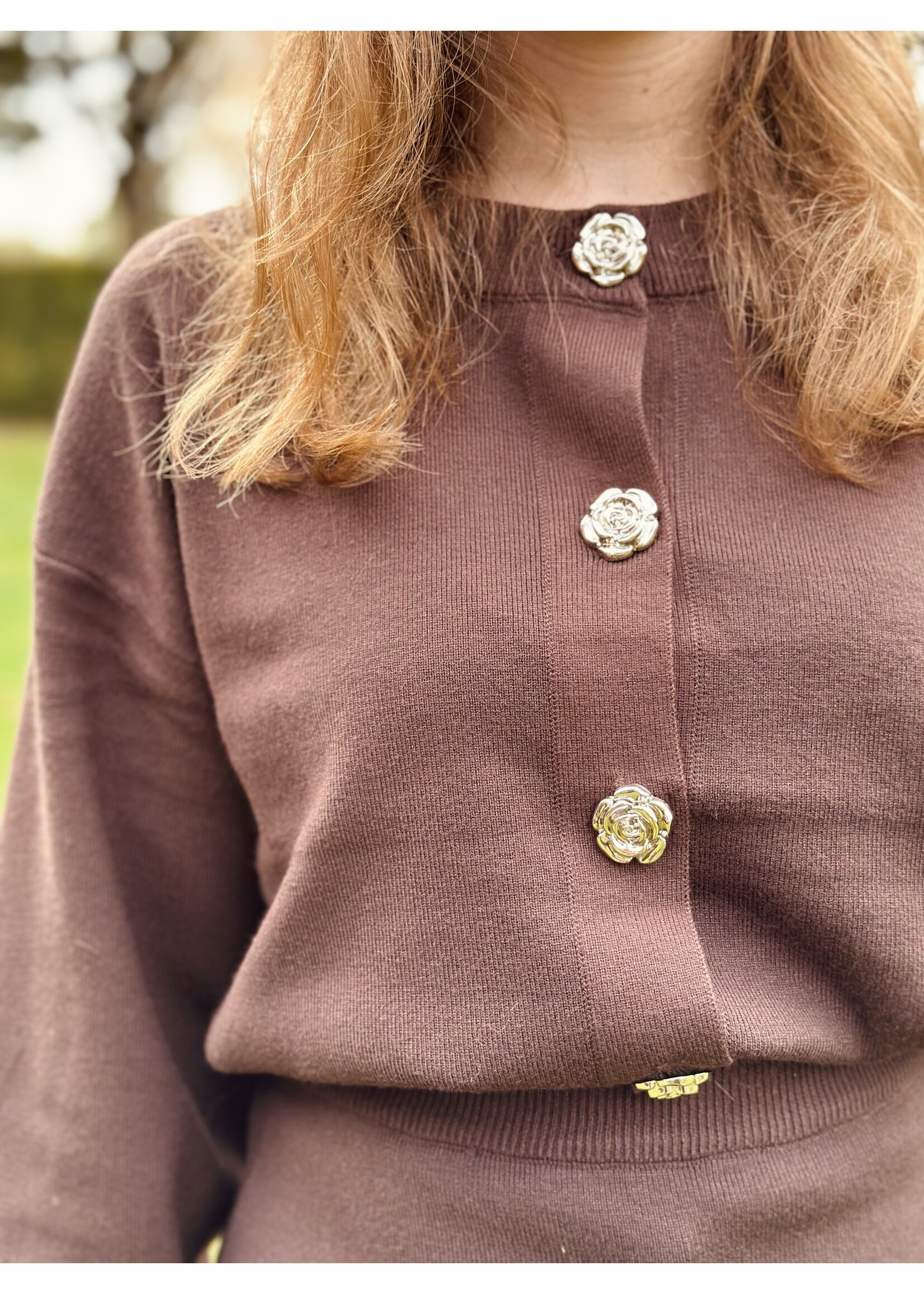 Marliese set top + skirt brown