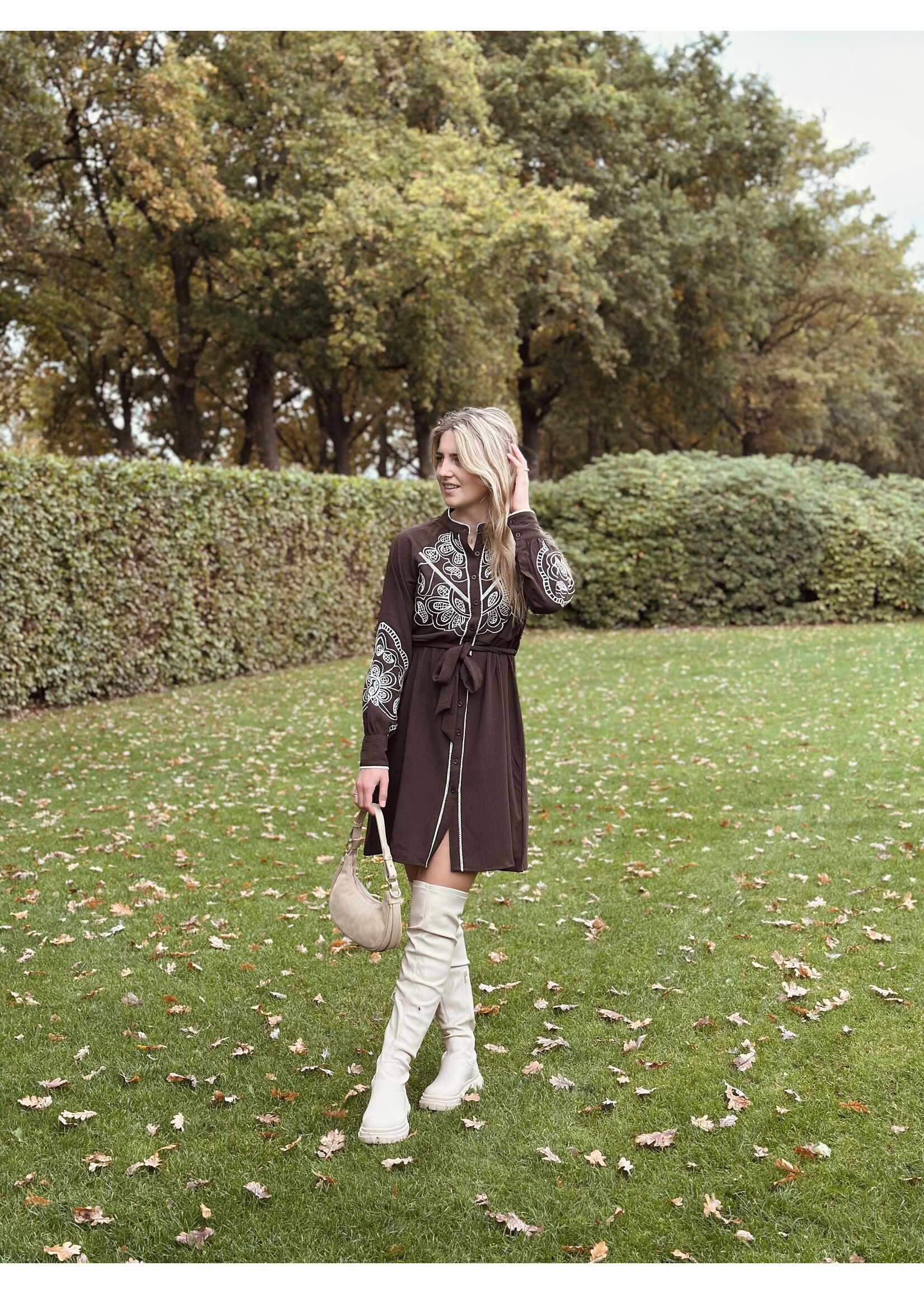 Zaramaeve dress brown/beige print