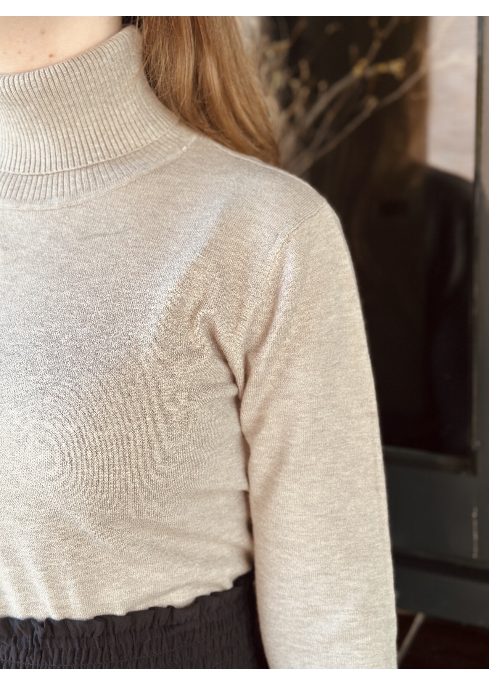 Roanne turtleneck taupe