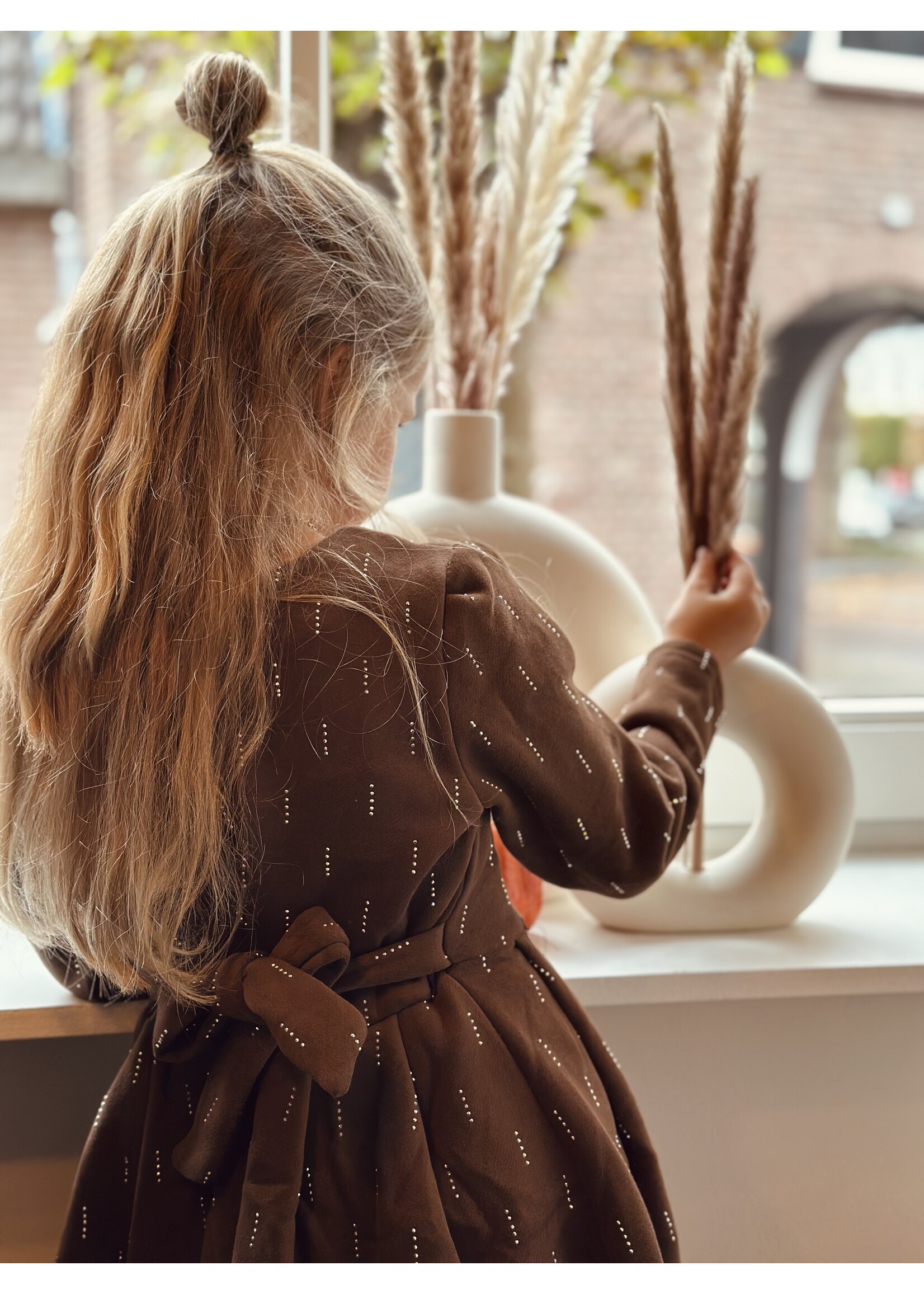 Cyntia dress brown print