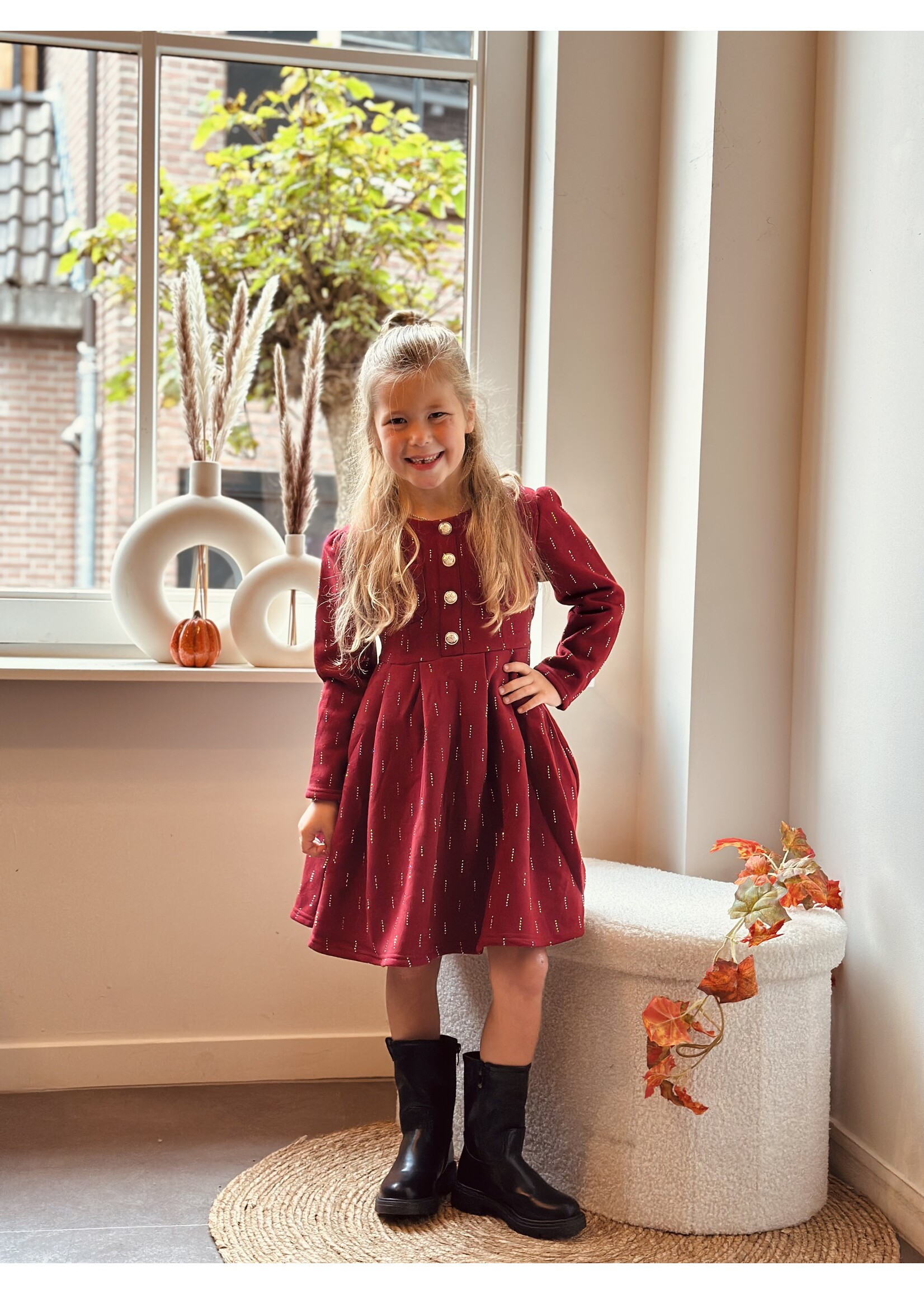 Cyntia dress bordeaux red print