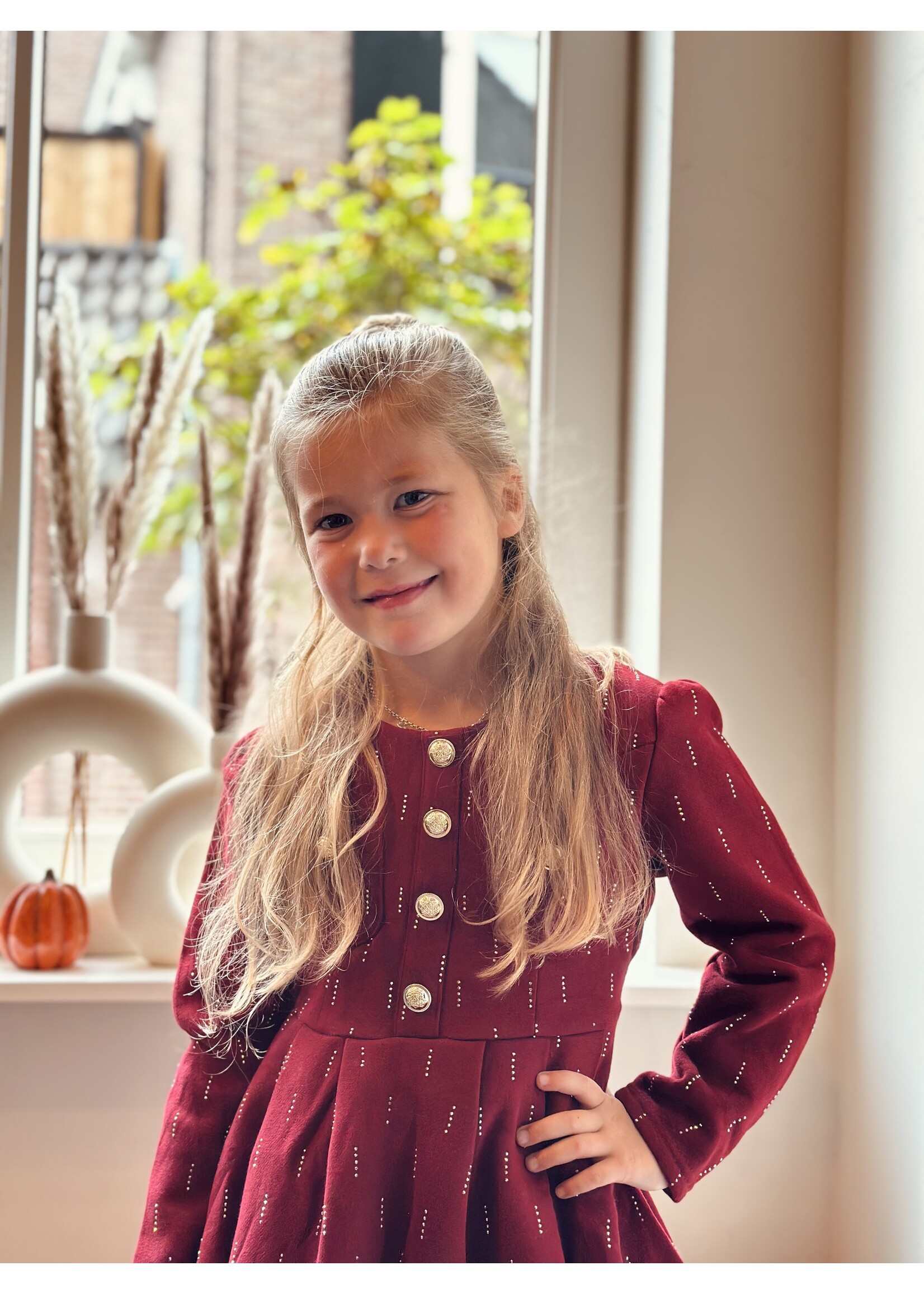 Cyntia dress bordeaux red print