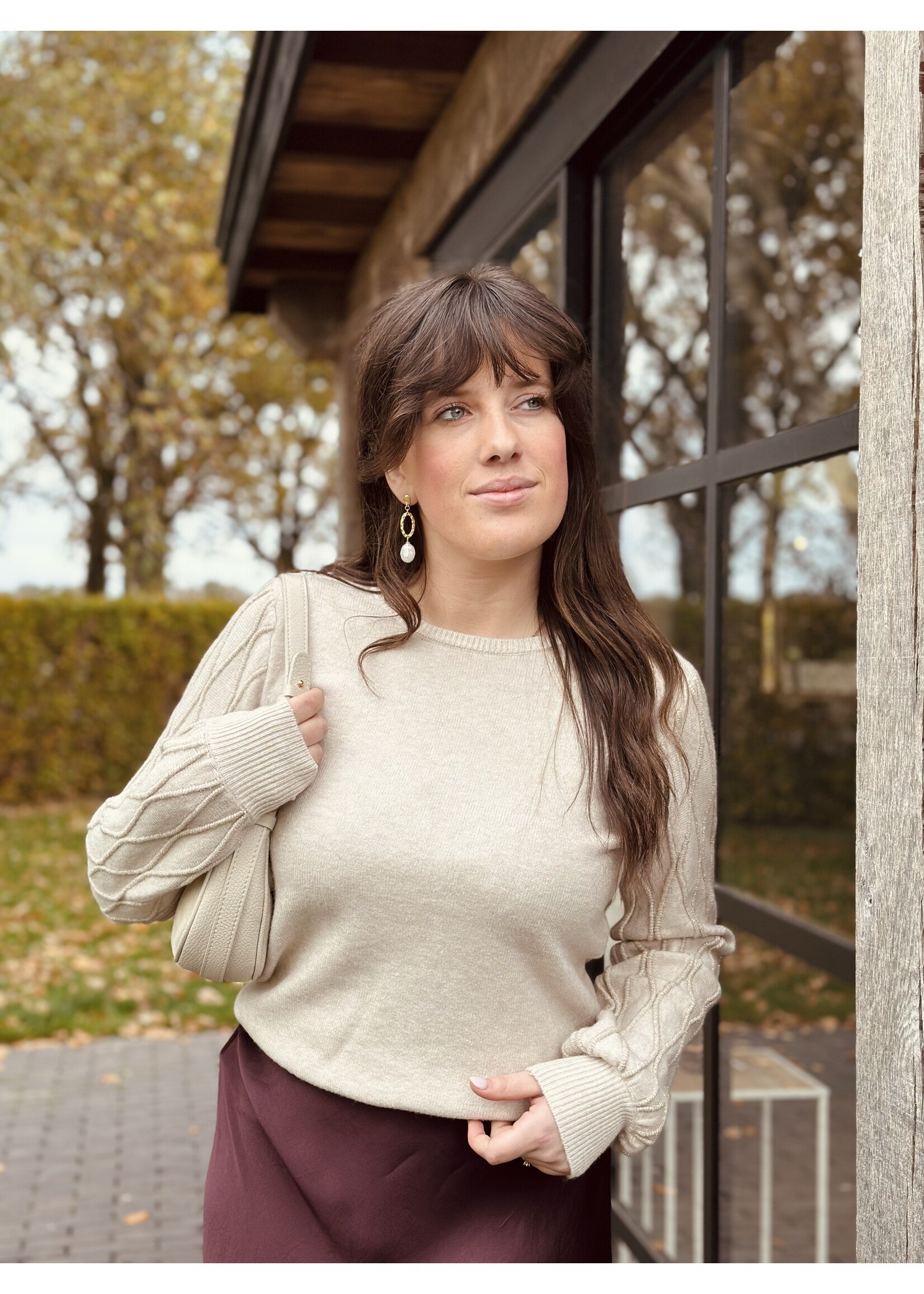 Stefanie sweater beige glitter