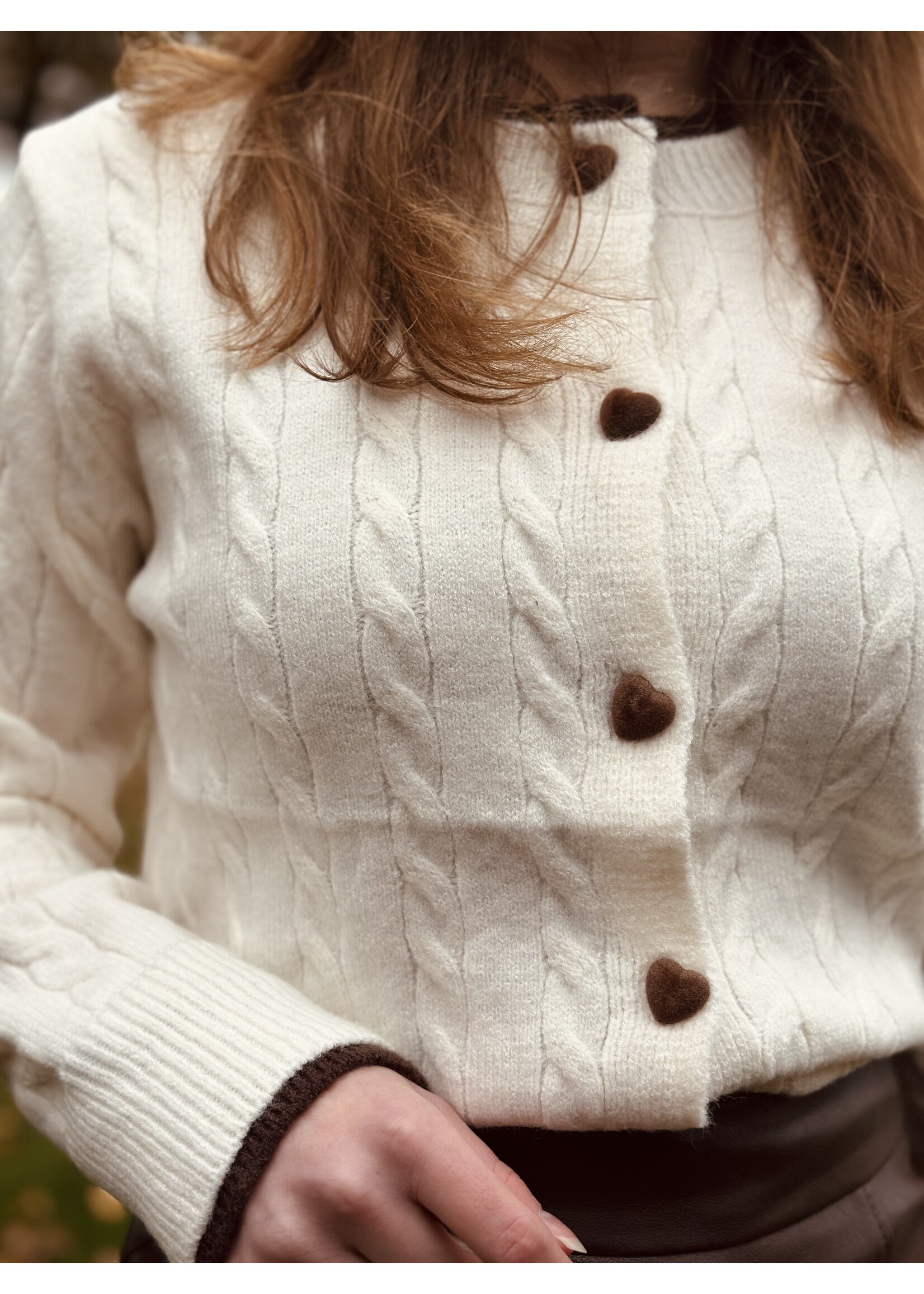 Gabrielle cardigan offwhite/brown One Size