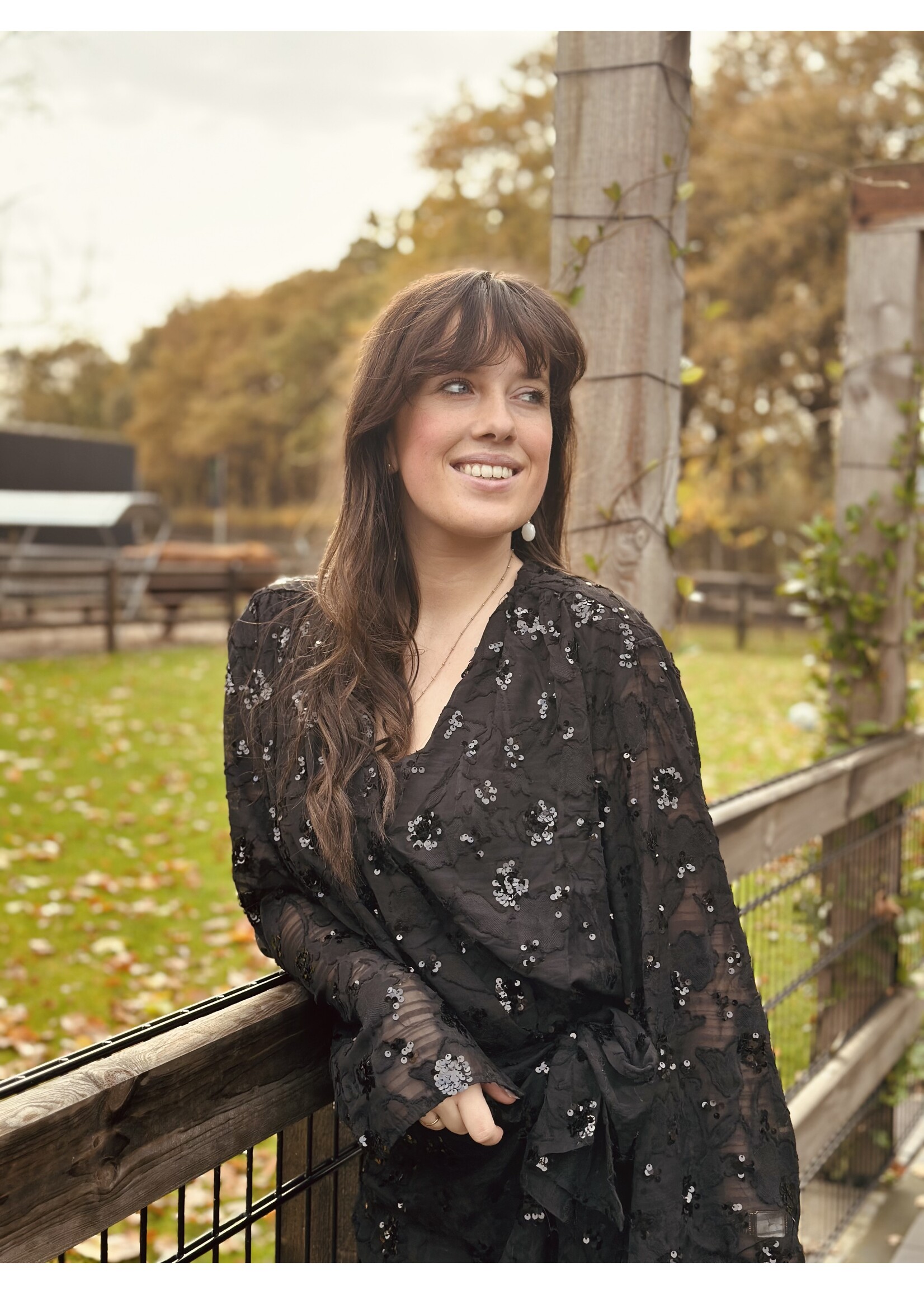 Esmee dress glitter dress black