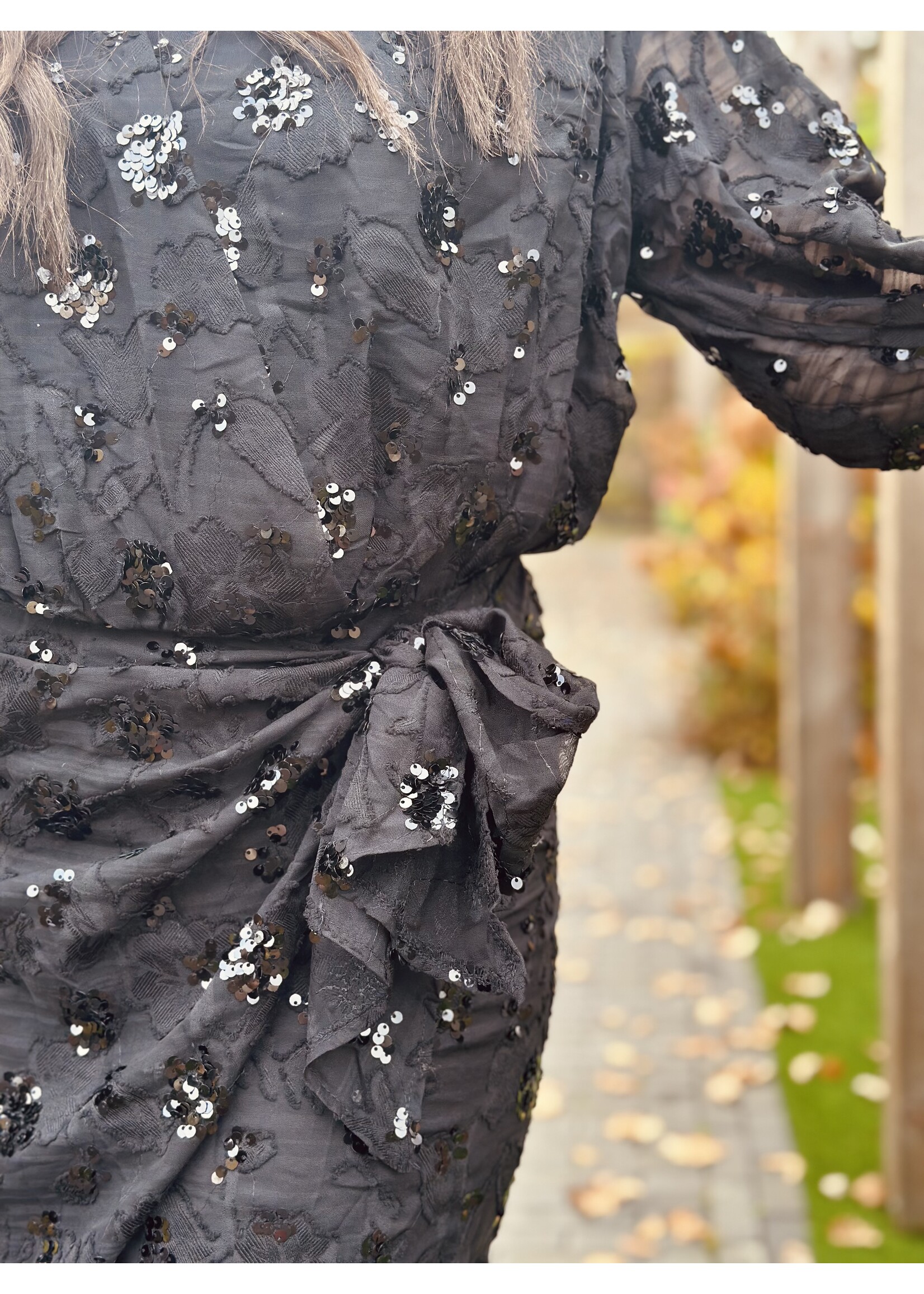 Esmee dress glitter dress black